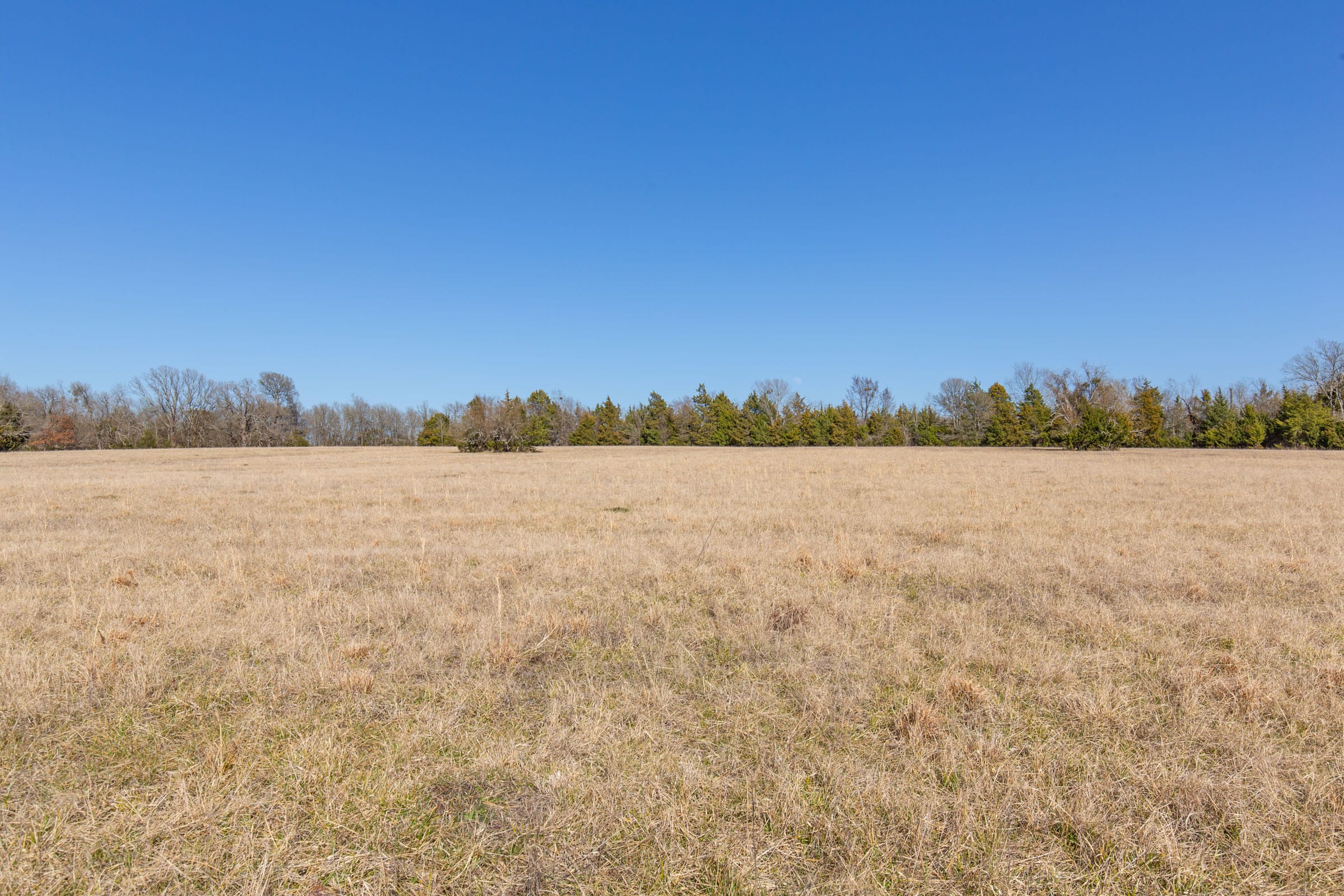 Wishing Star Ranch Tract 84 photo 16