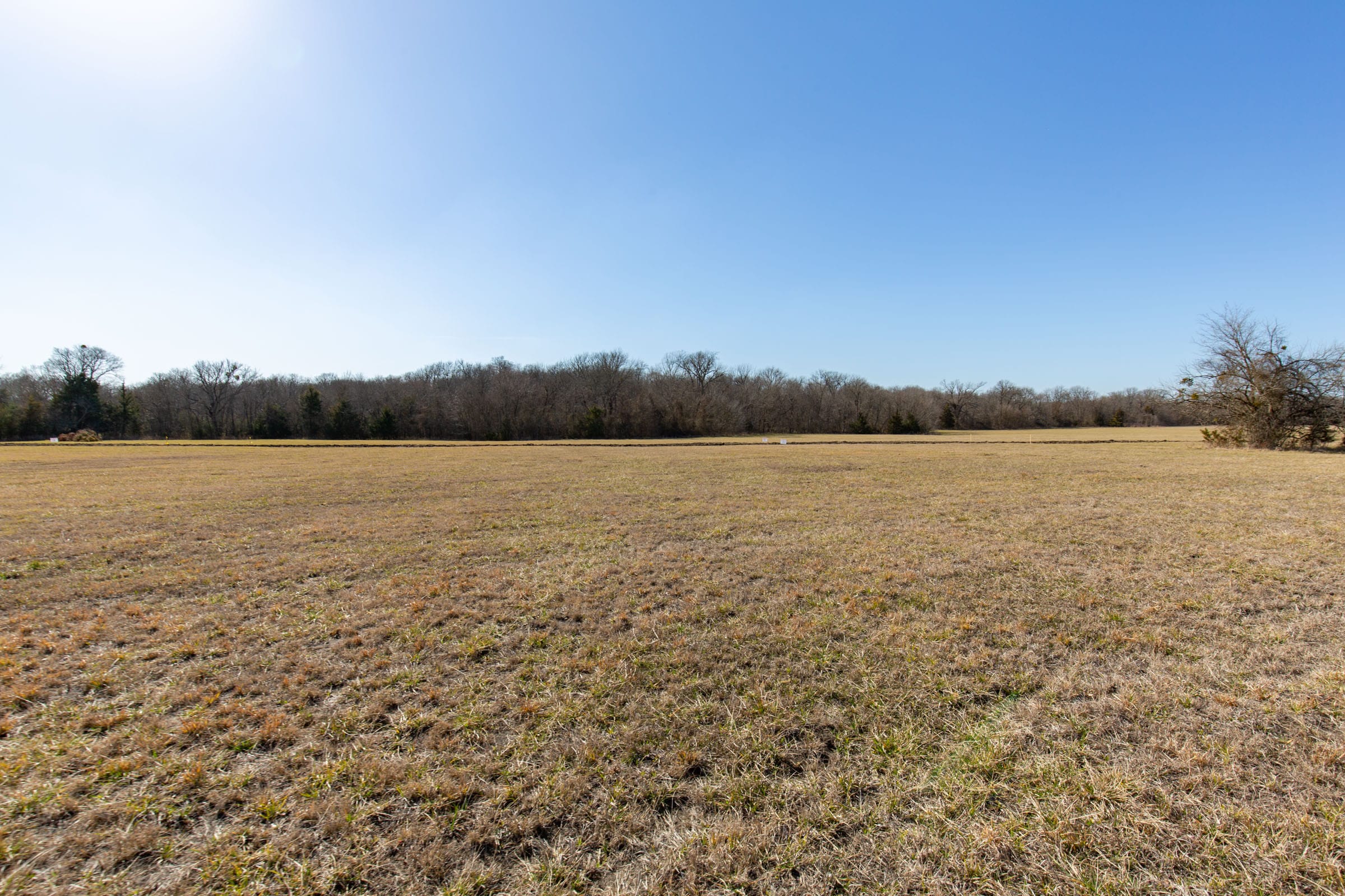 Wishing Star Ranch Tract 84 photo 18