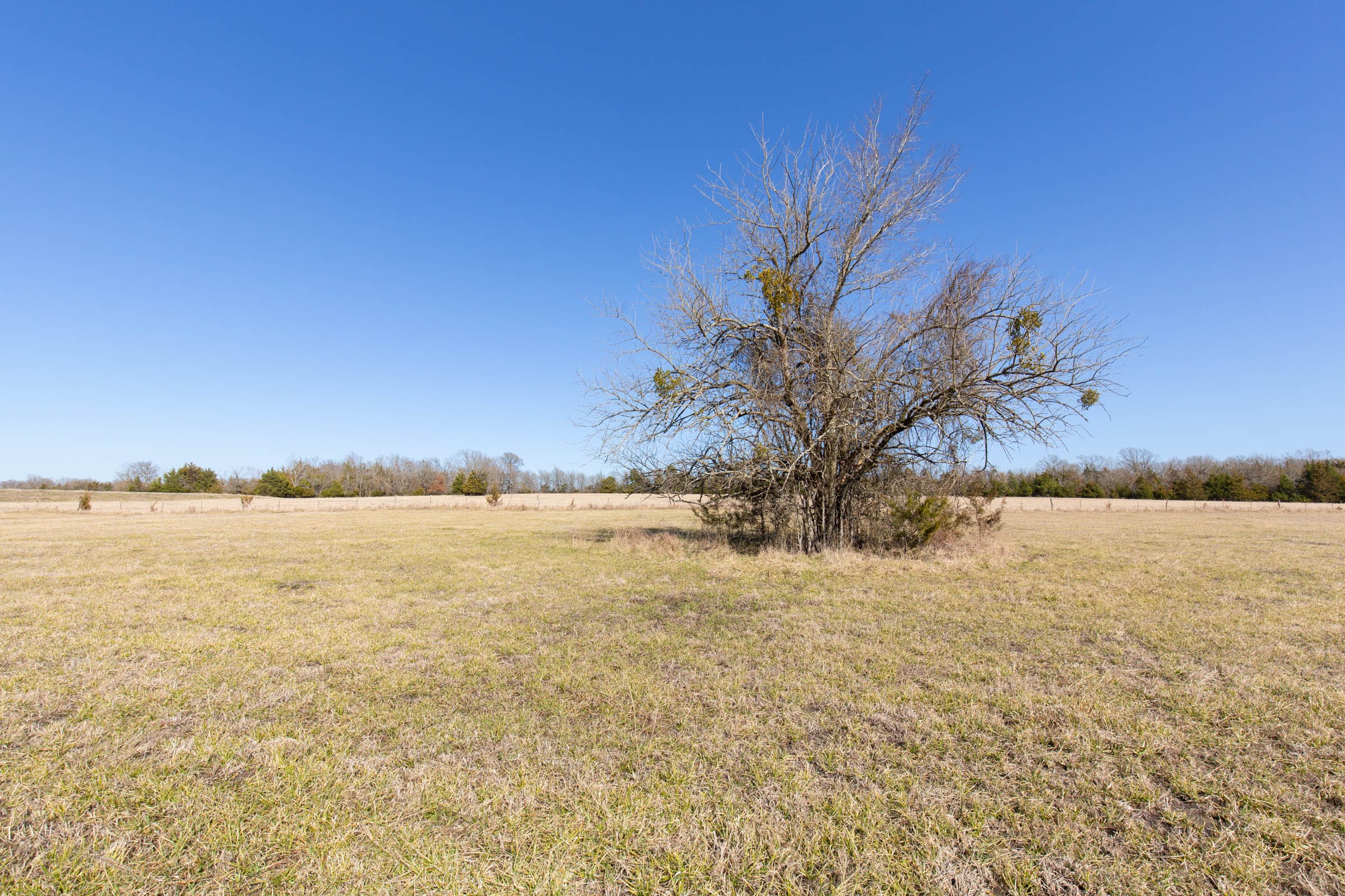 Wishing Star Ranch Tract 84 photo 19