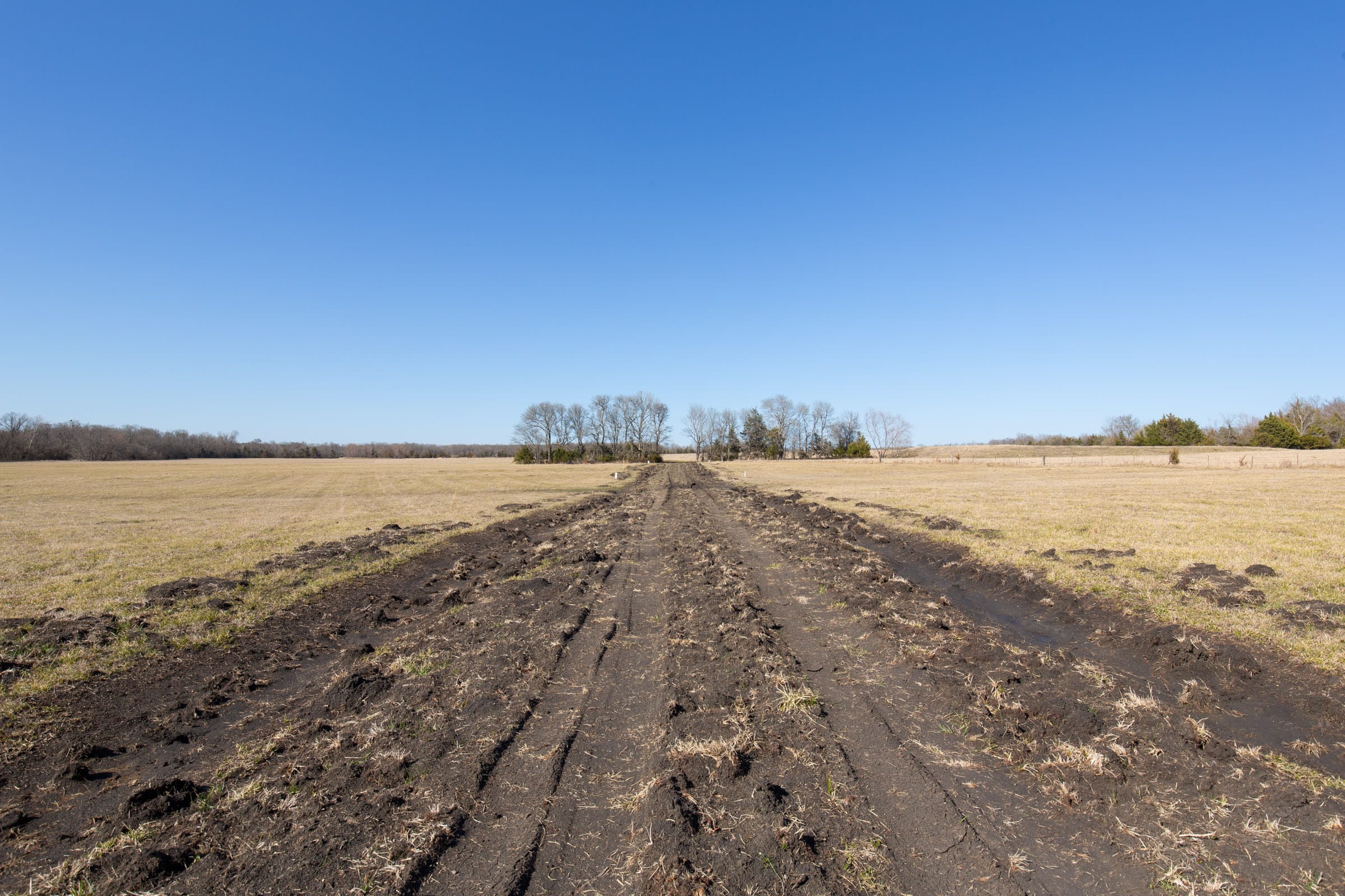 Wishing Star Ranch Tract 84 photo 14