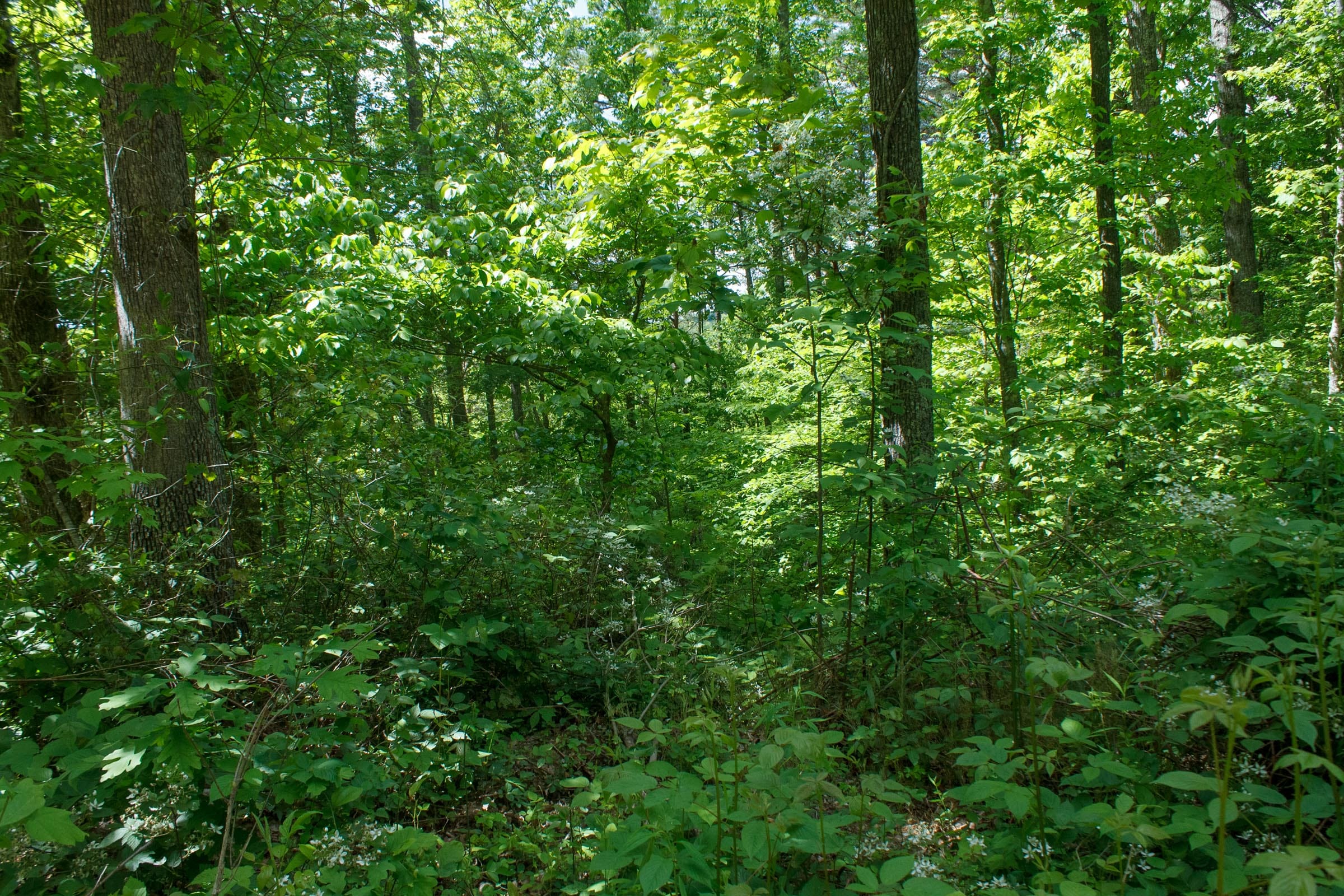 Riverbend Tract 1 photo 1