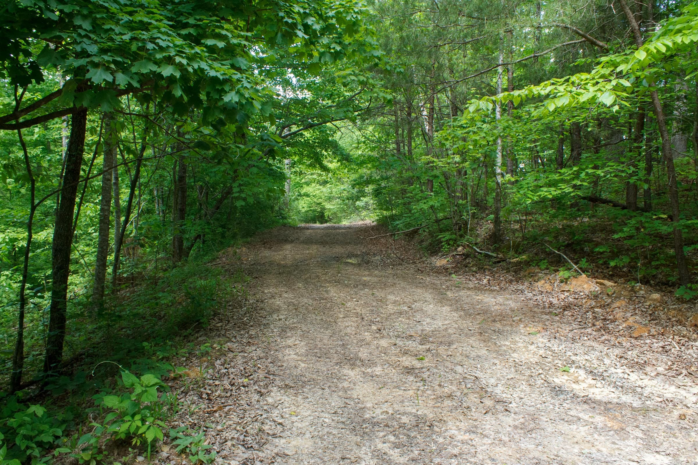 Riverbend Tract 1 photo 11