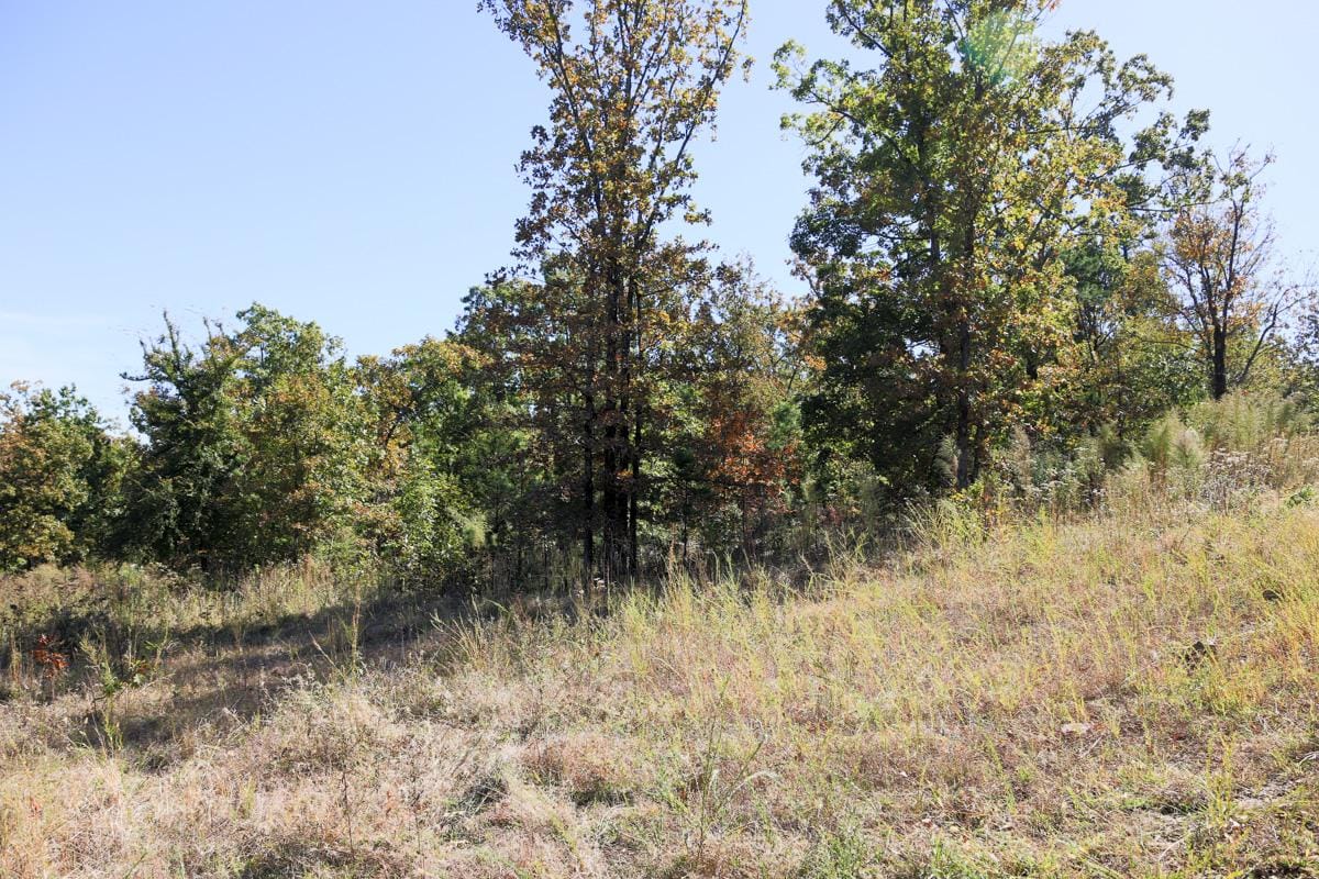 Stone Creek Phase I Tract 113 photo 2