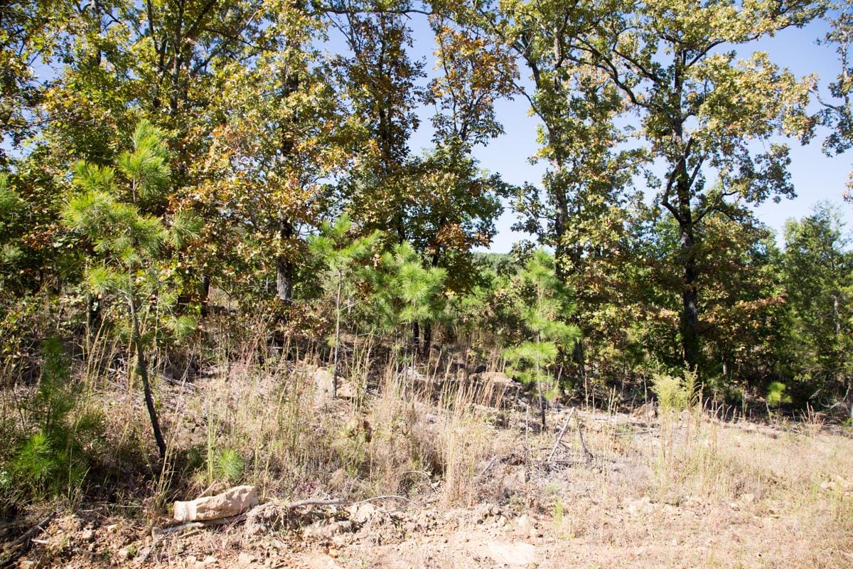 Stone Creek Phase I Tract 113 photo 4