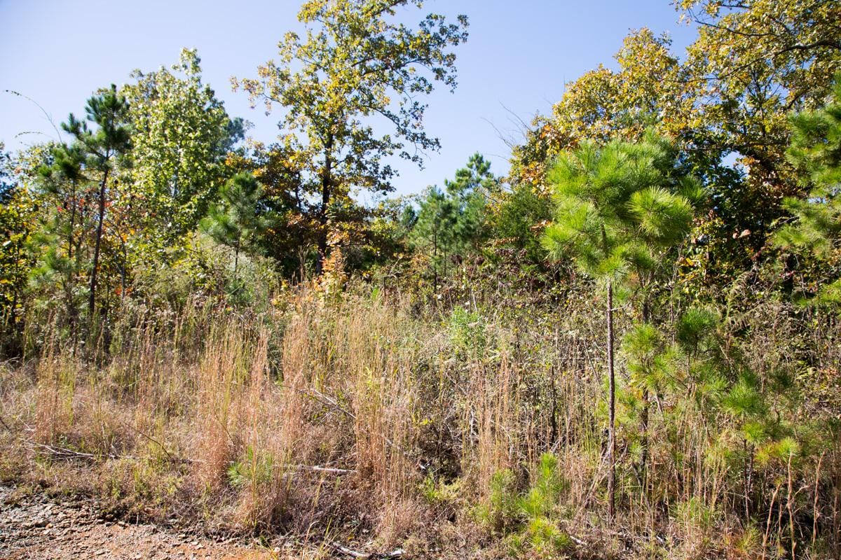 Stone Creek Phase I Tract 113 photo 5