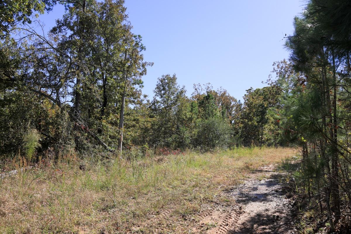 Stone Creek Phase I Tract 113 photo 7