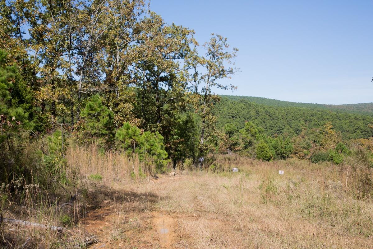 Stone Creek Phase I Tract 113 photo 8