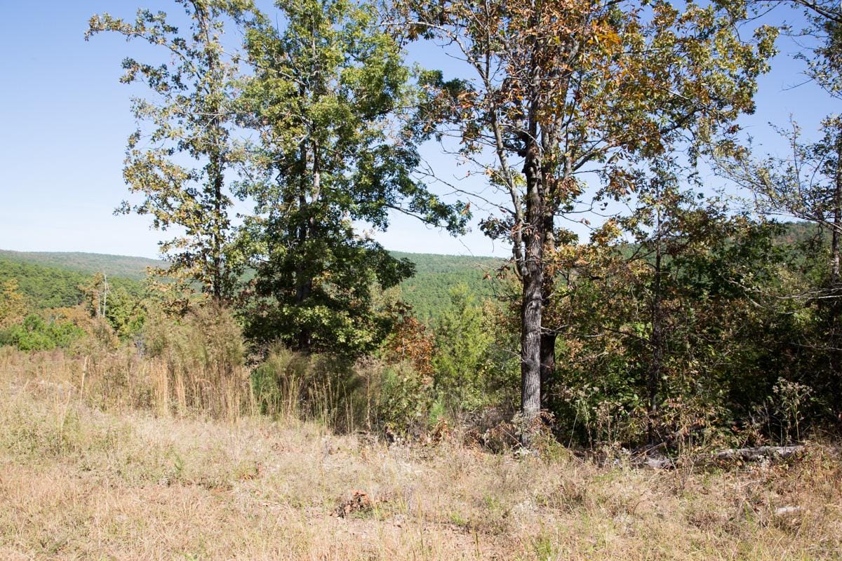 Stone Creek Phase I Tract 113 photo 9
