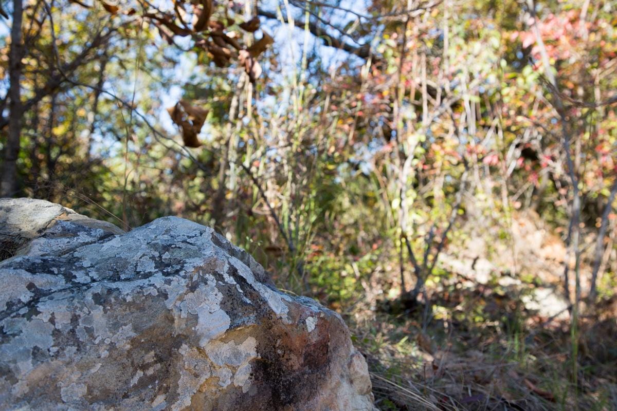 Stone Creek Phase I Tract 113 photo 10