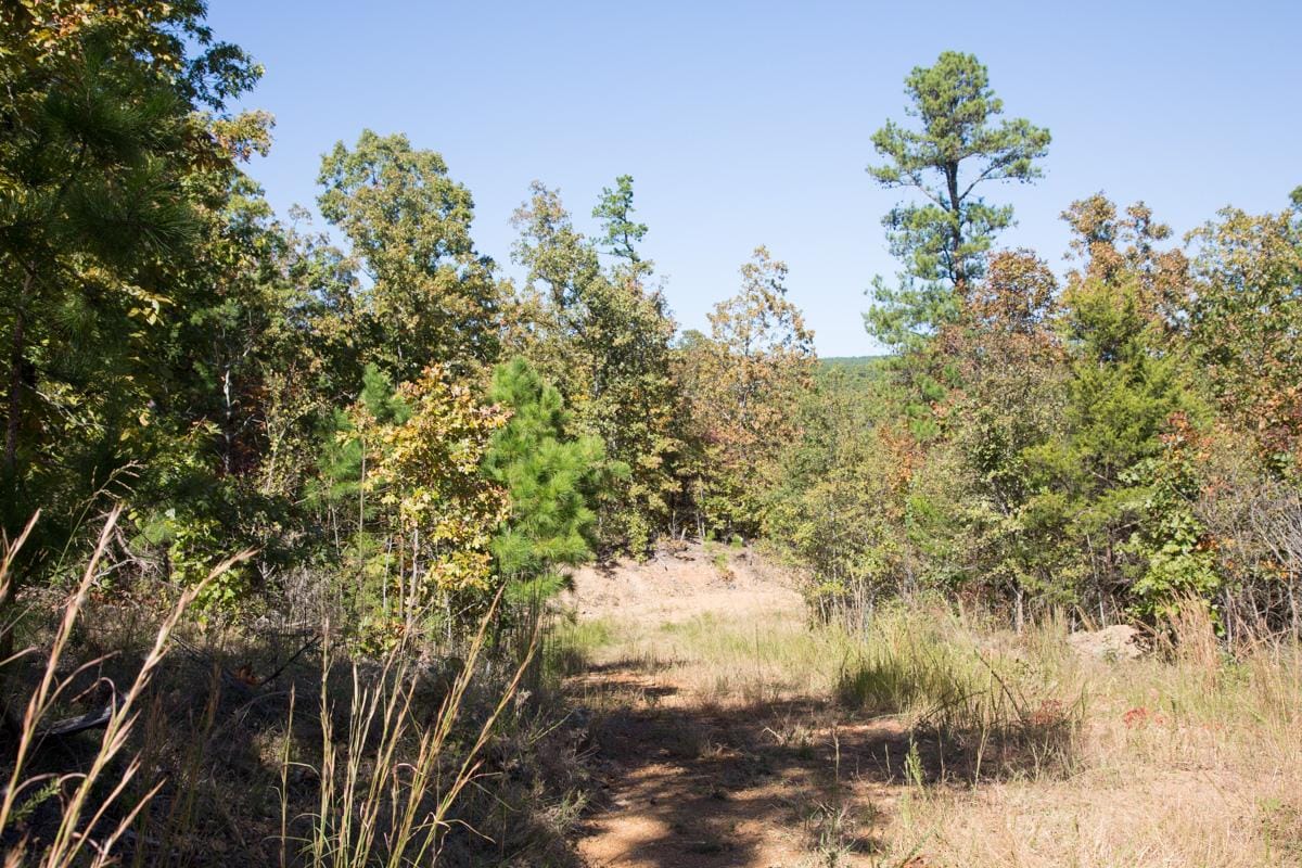 Stone Creek Phase I Tract 113 photo 14