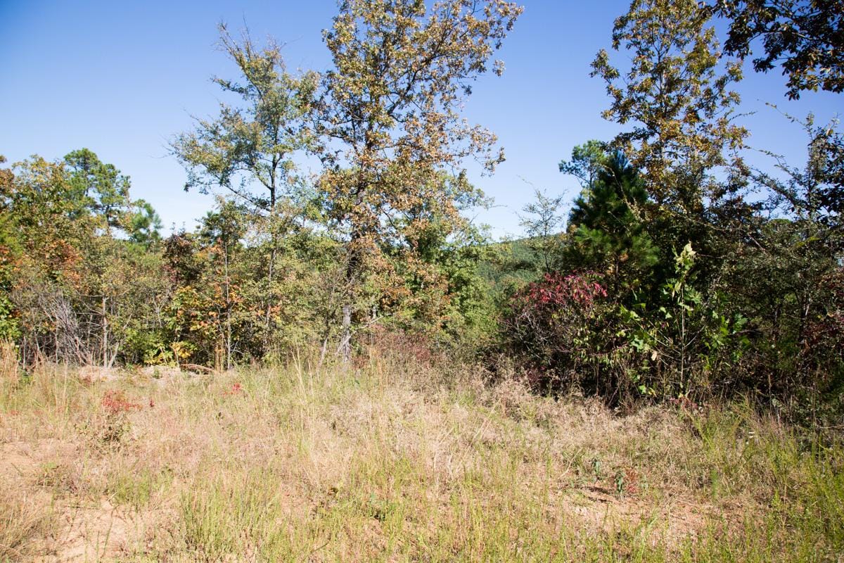 Stone Creek Phase I Tract 113 photo 15