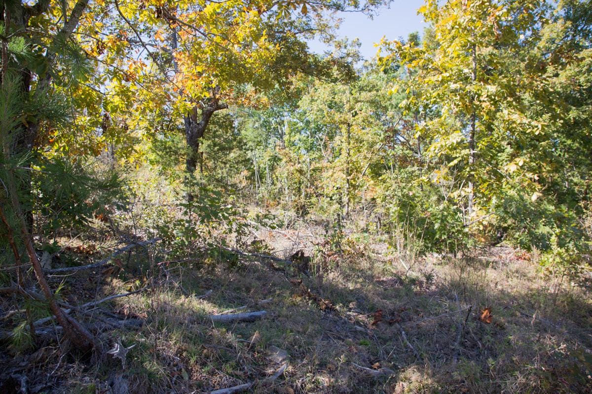 Stone Creek Phase I Tract 113 photo 16
