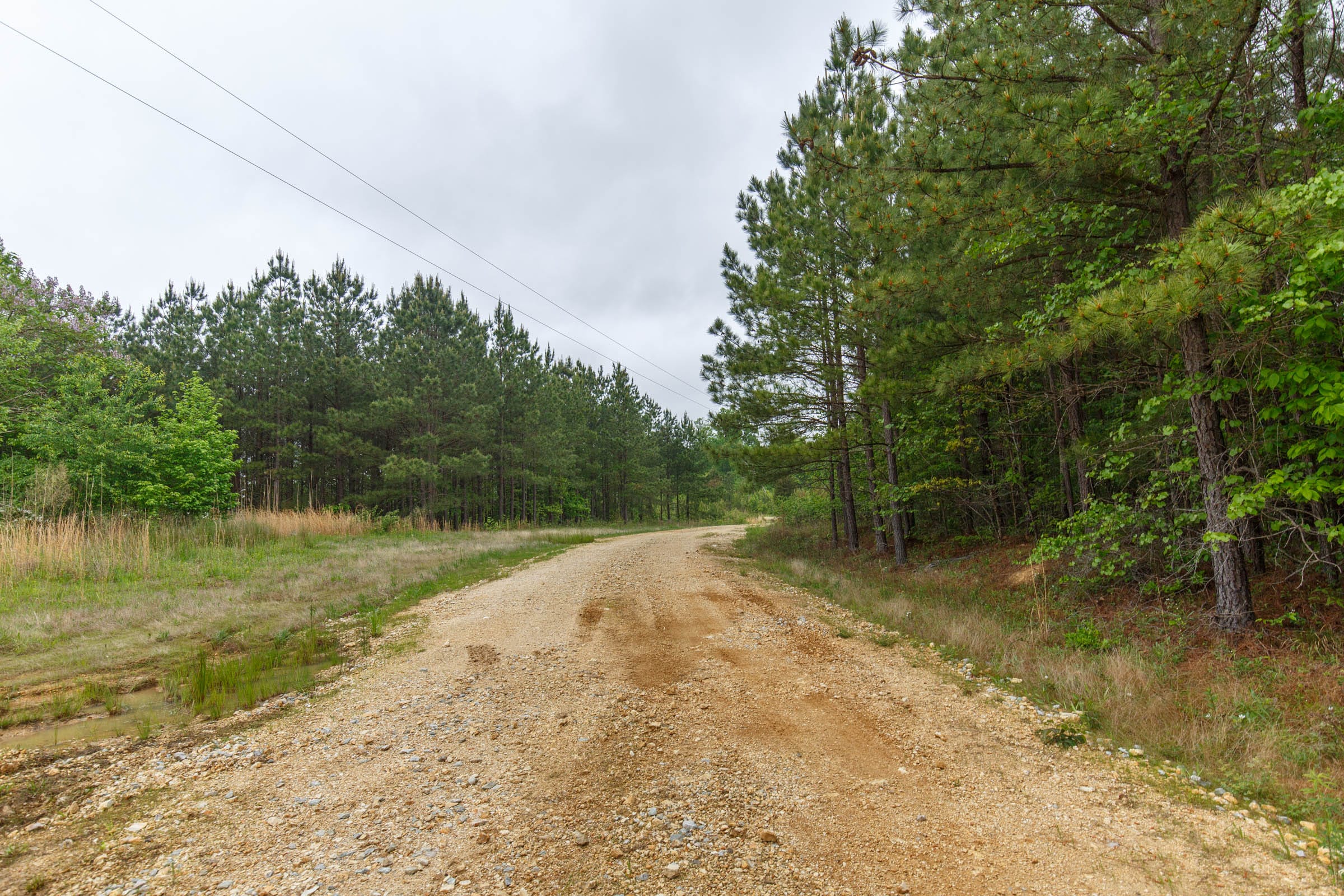Red Barn Ranch Tract 60 photo 1