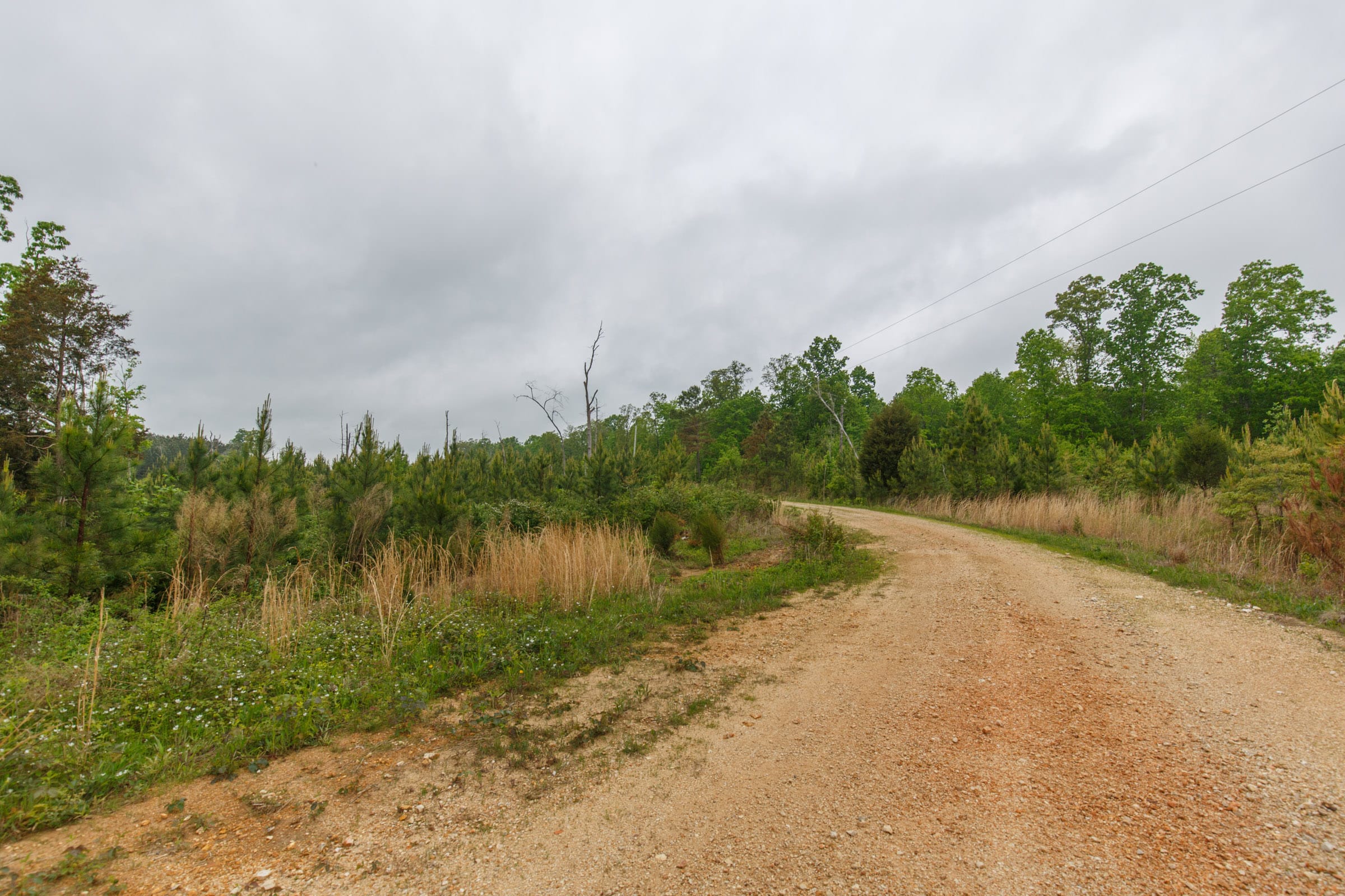 Red Barn Ranch Tract 60 photo 5