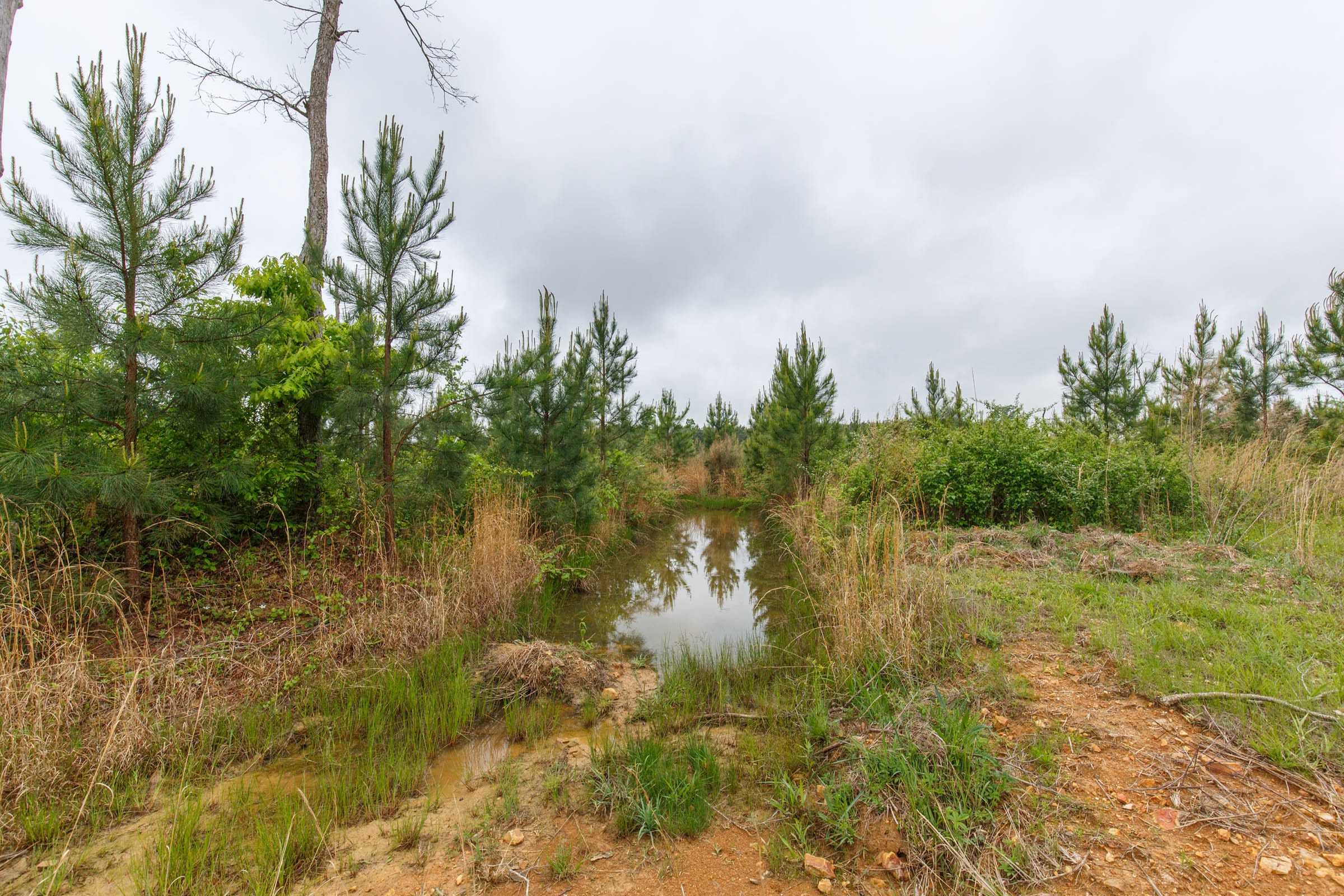Red Barn Ranch Tract 60 photo 8