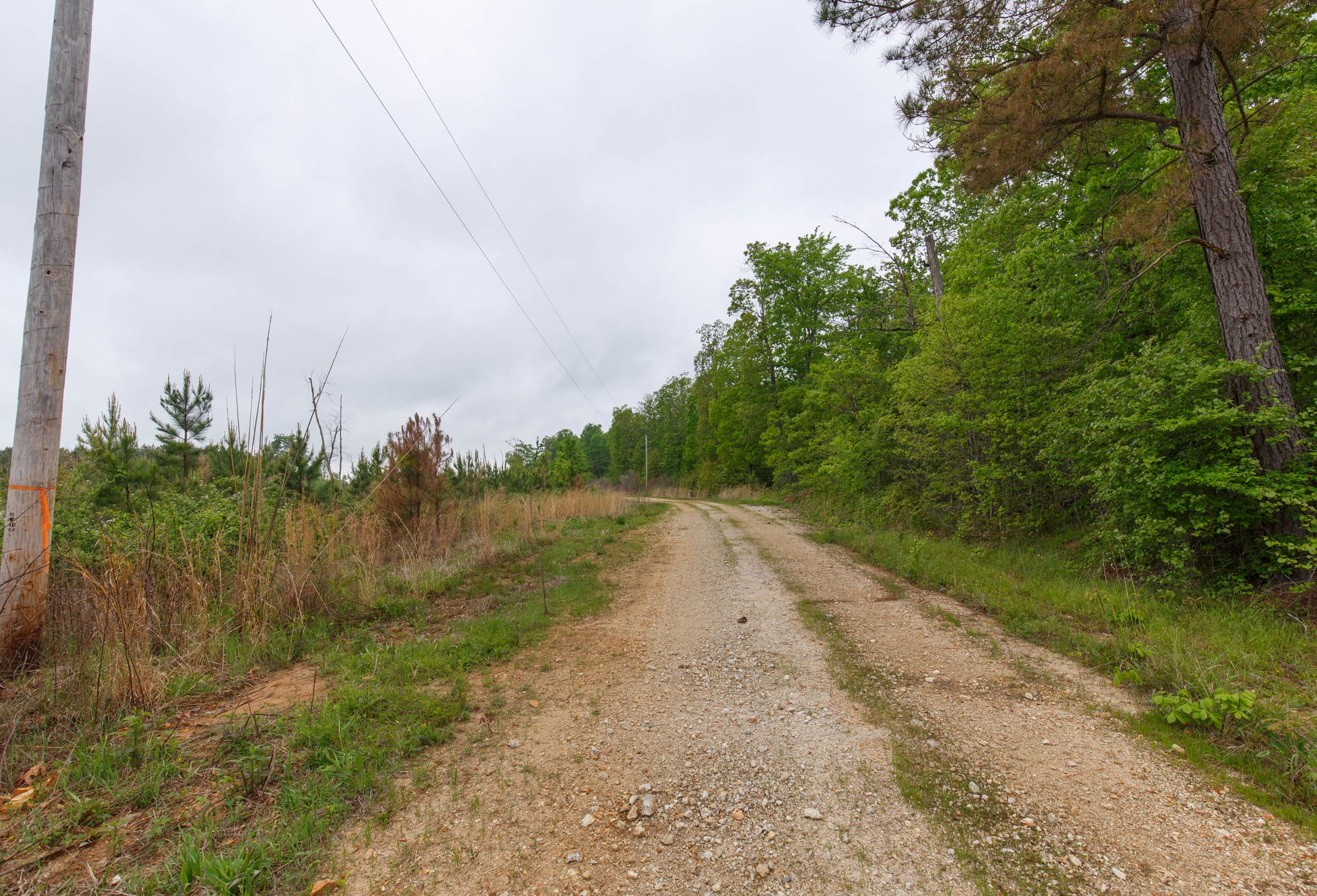 Red Barn Ranch Tract 60 photo 9
