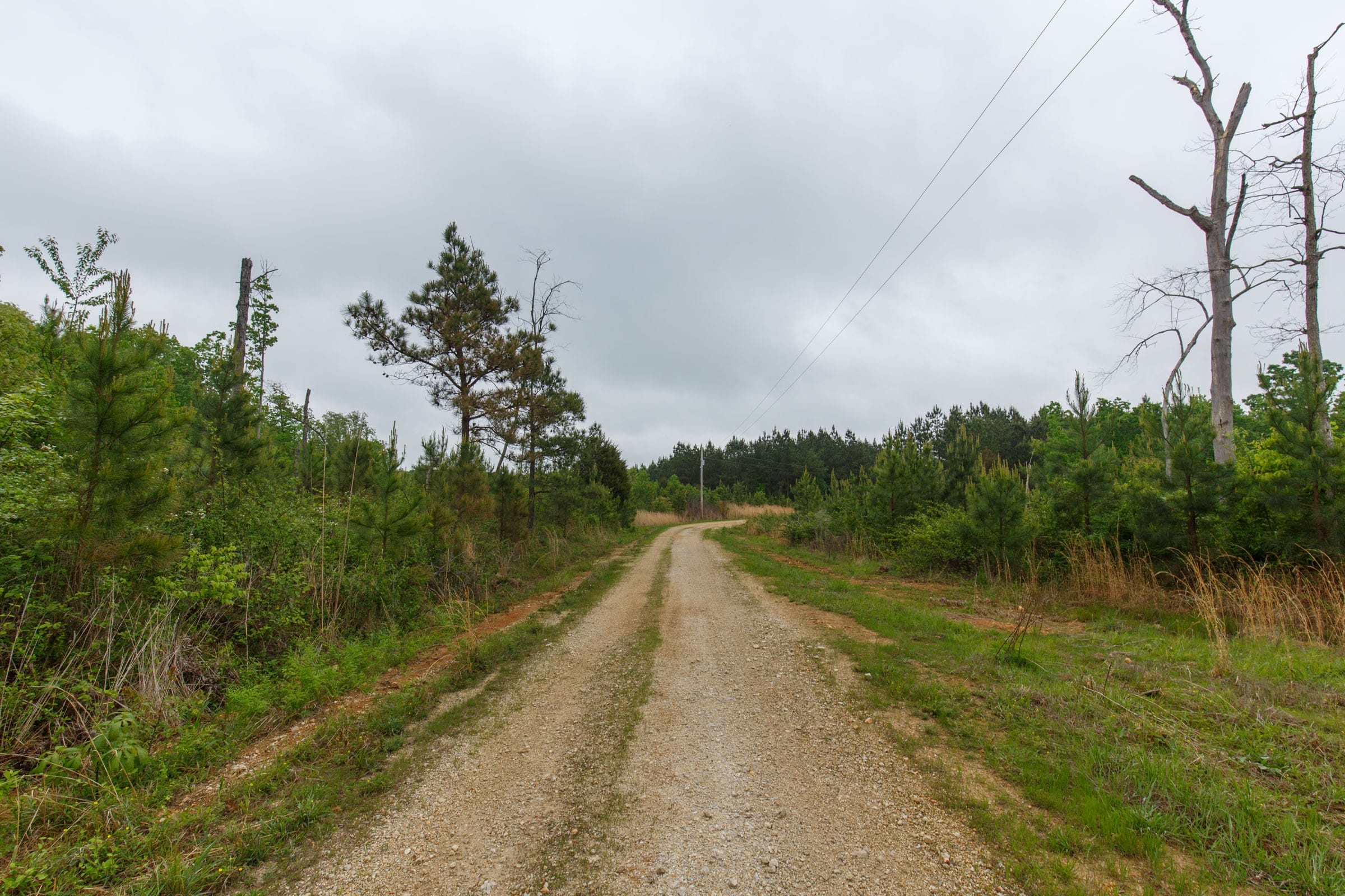 Red Barn Ranch Tract 60 photo 13