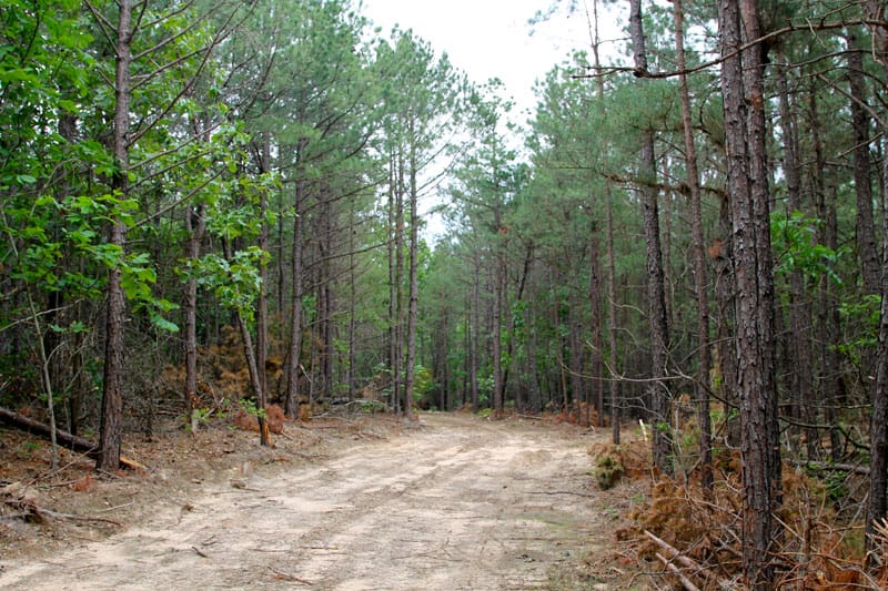 Trophy Ridge Phase II Tract 80 photo 1