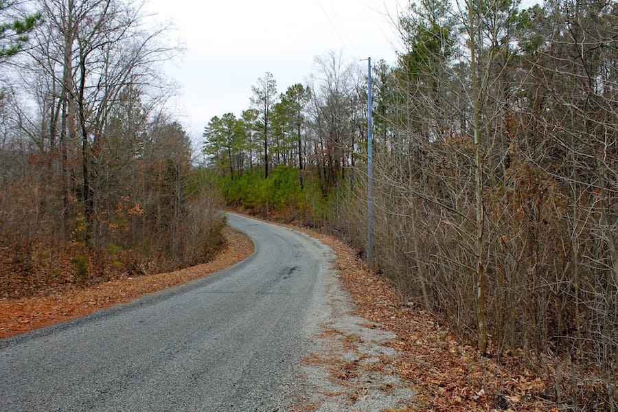 The Tennessean Tract 30 photo 1