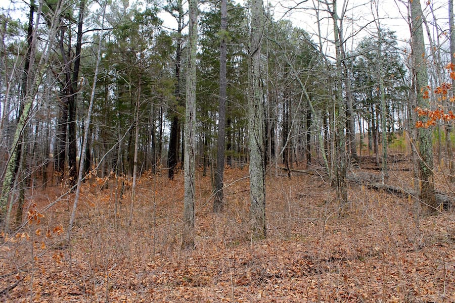 The Tennessean Tract 30 photo 3