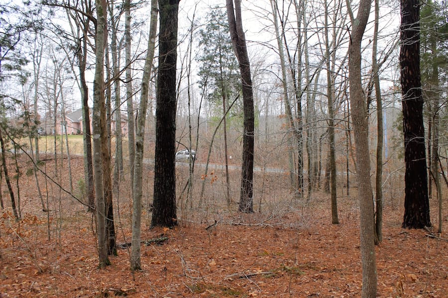 The Tennessean Tract 30 photo 5