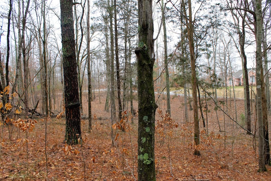 The Tennessean Tract 30 photo 6