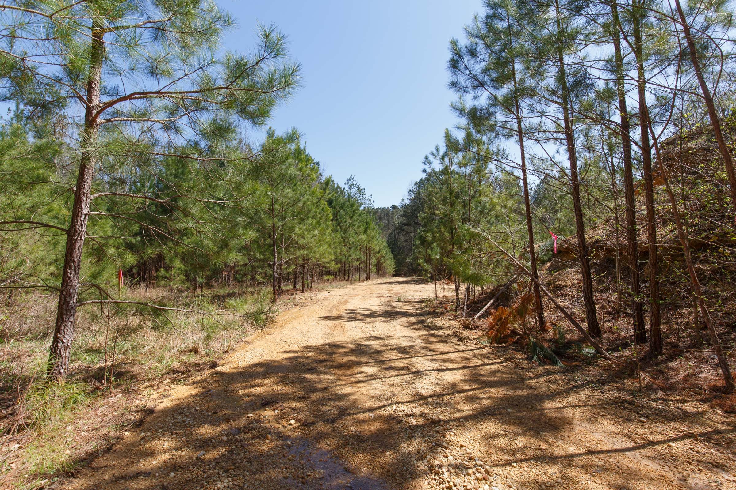 Southern Hills Tract 14 photo 2