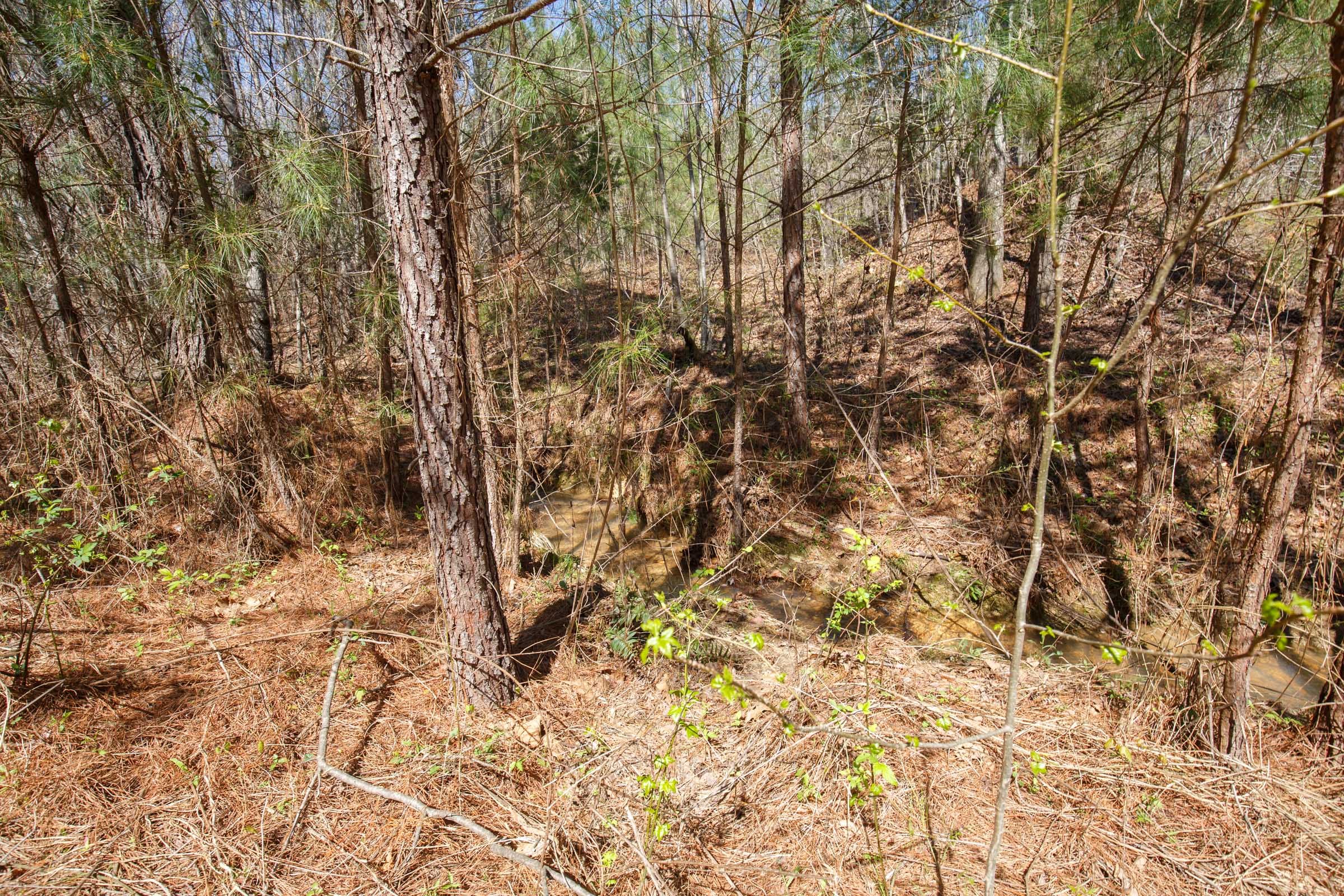 Southern Hills Tract 14 photo 3