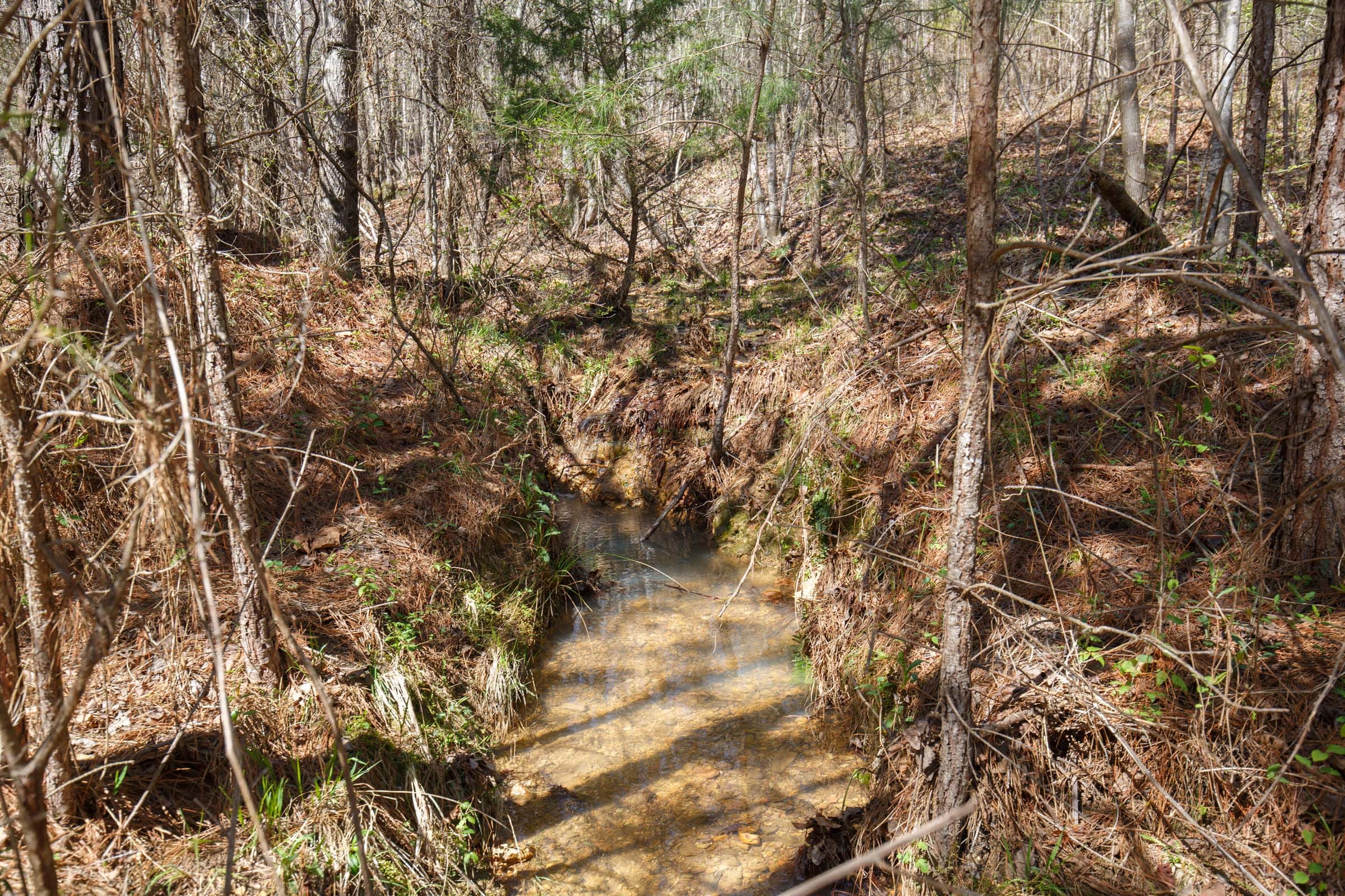 Southern Hills Tract 14 photo 5