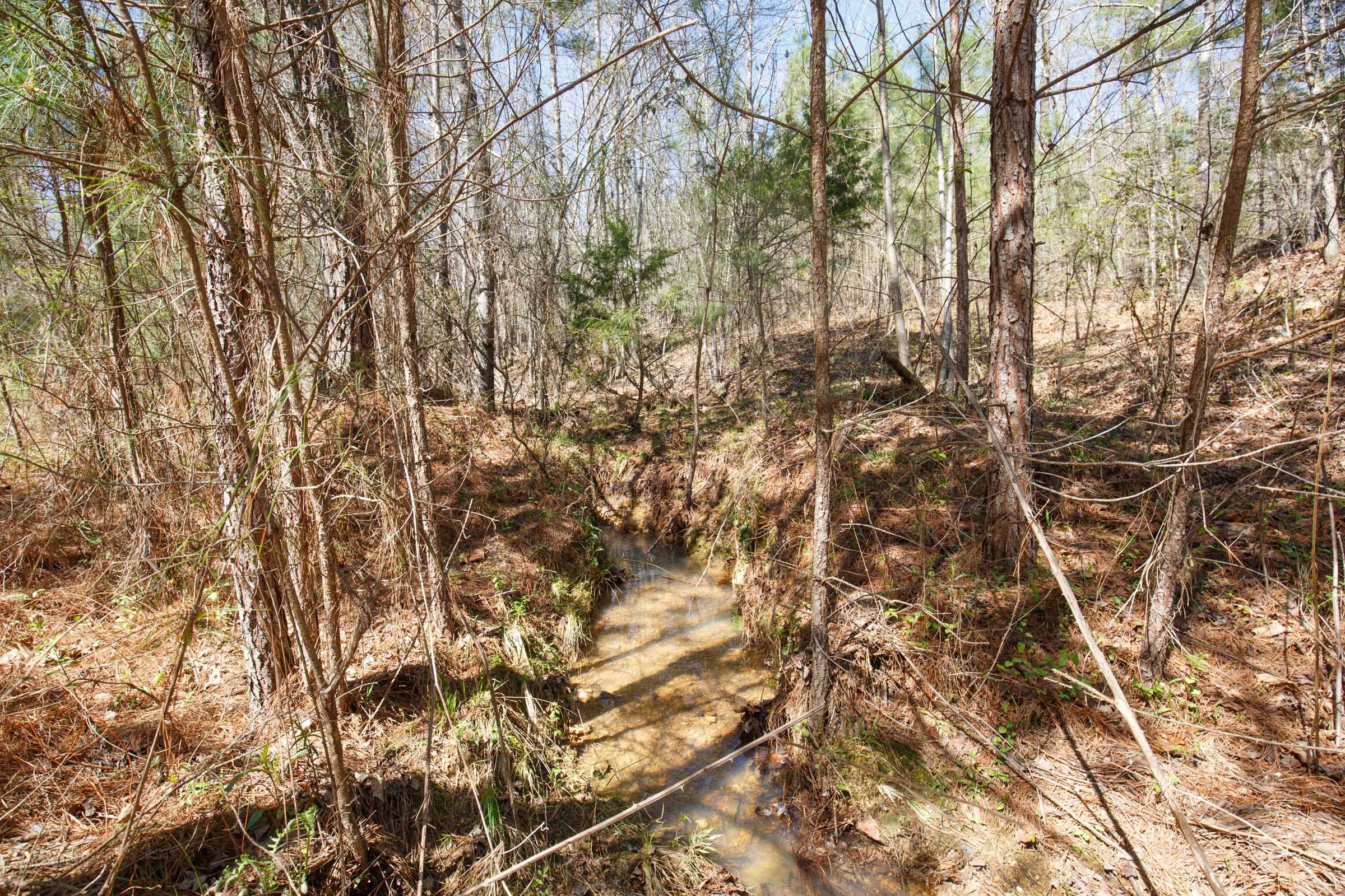 Southern Hills Tract 14 photo 6