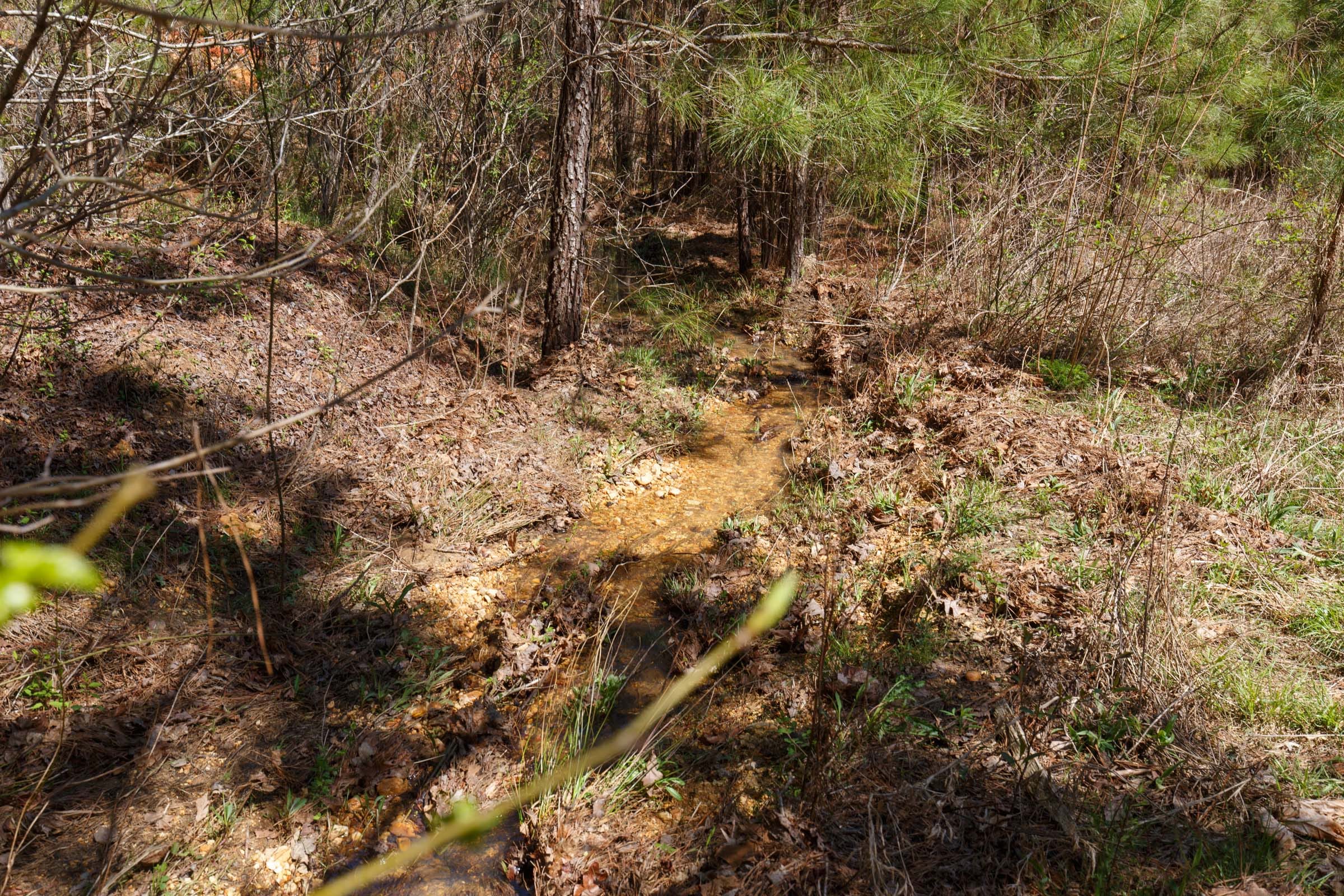 Southern Hills Tract 14 photo 7
