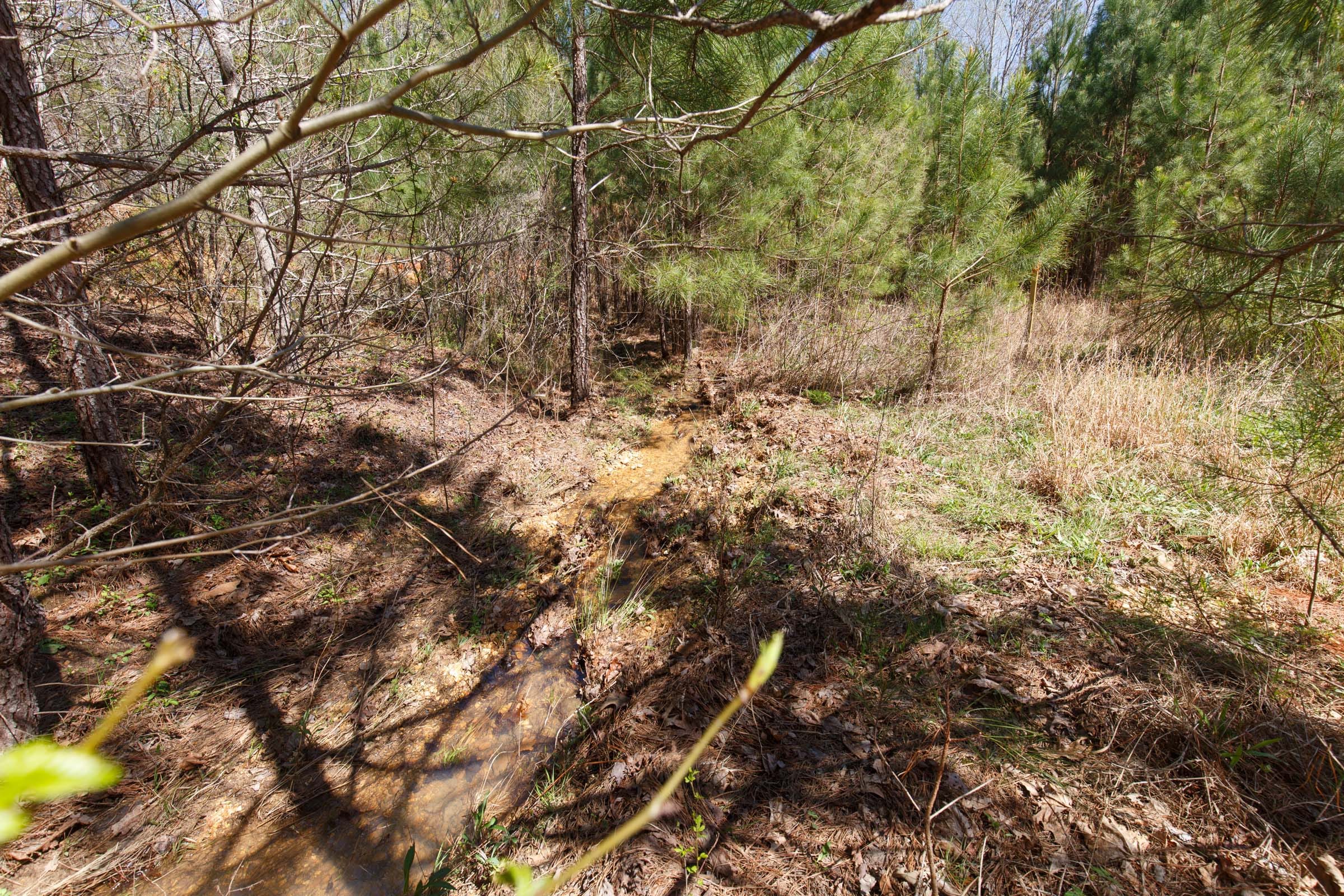 Southern Hills Tract 14 photo 8
