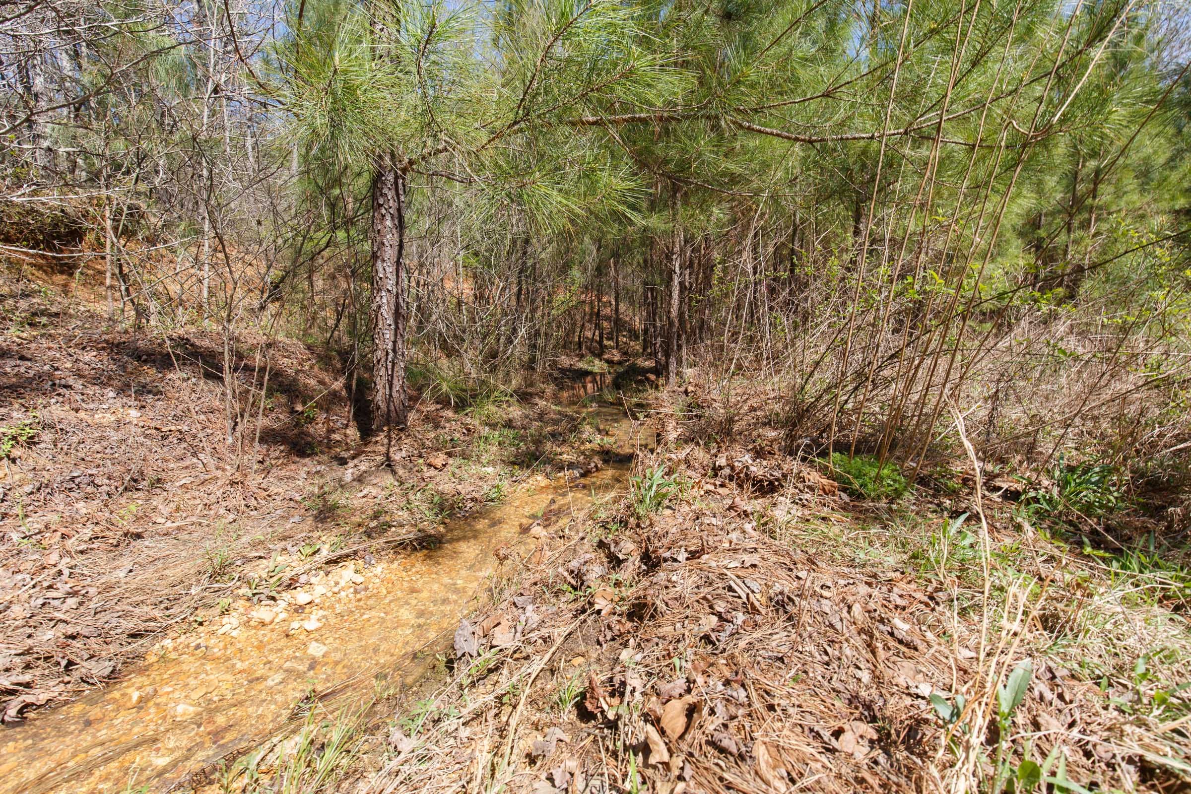 Southern Hills Tract 14 photo 9