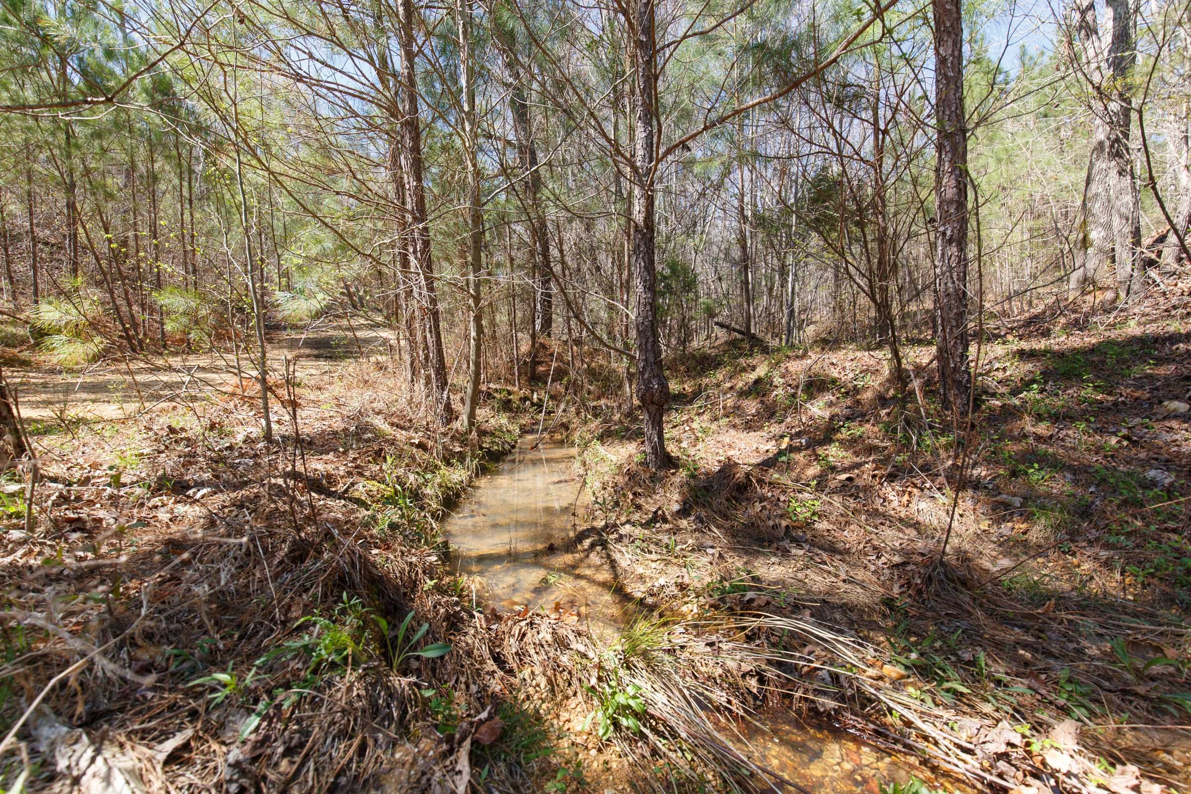 Southern Hills Tract 14 photo 10