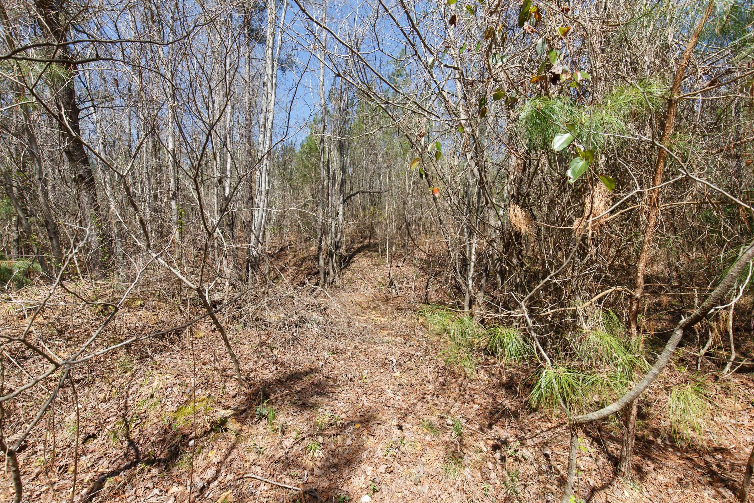 Southern Hills Tract 14 photo 12
