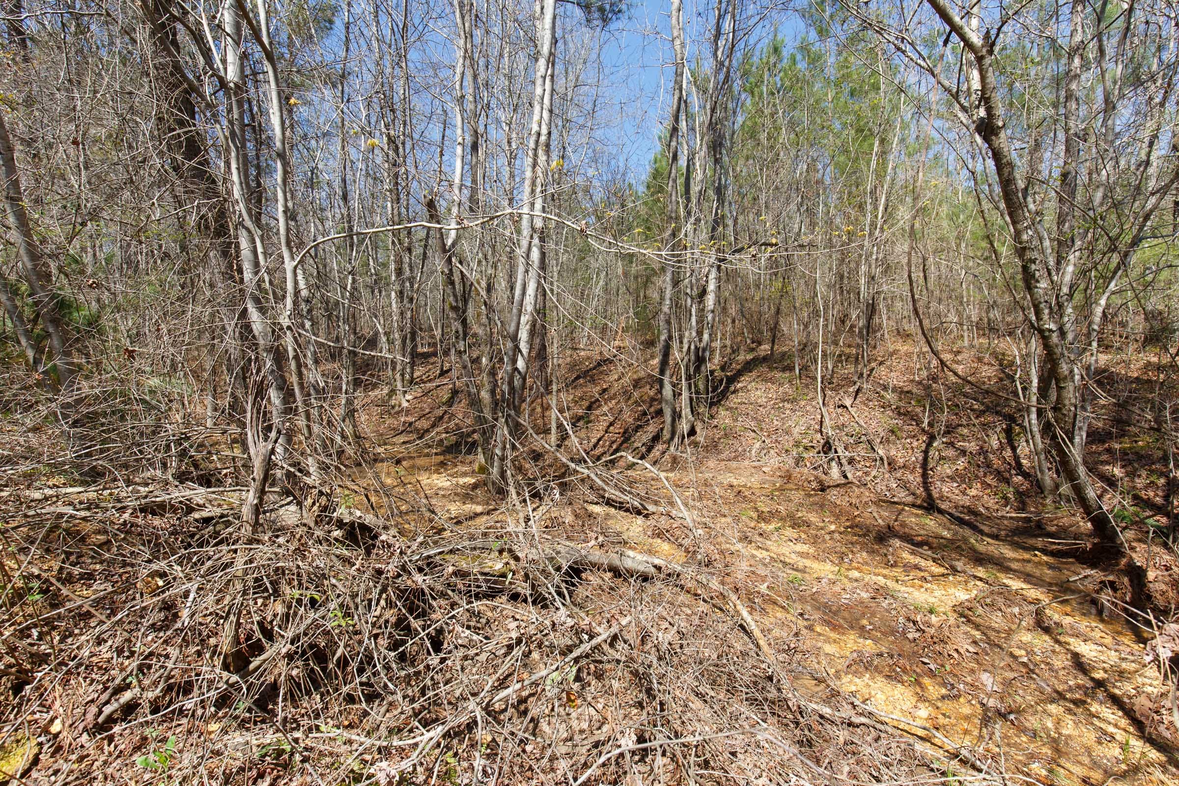Southern Hills Tract 14 photo 13