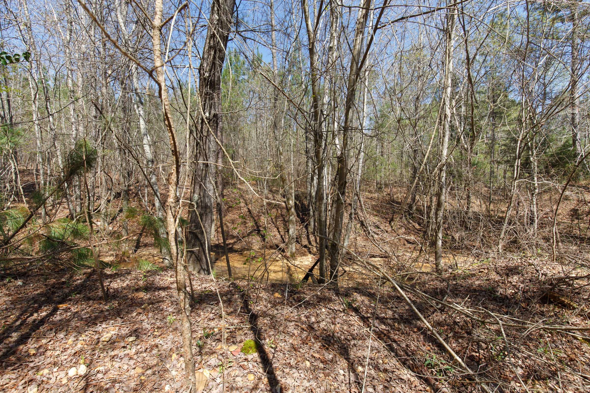 Southern Hills Tract 14 photo 14