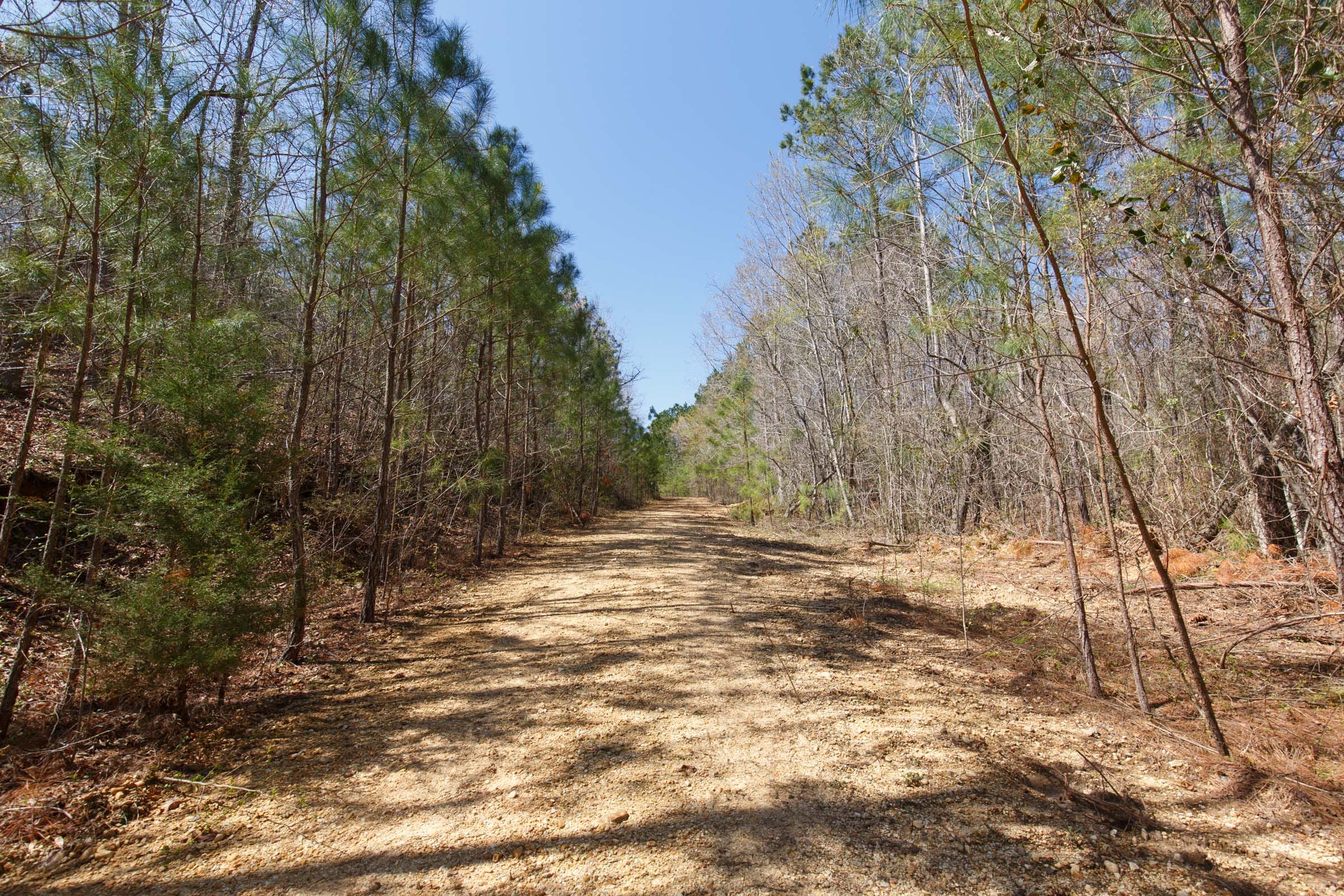Southern Hills Tract 14 photo 11