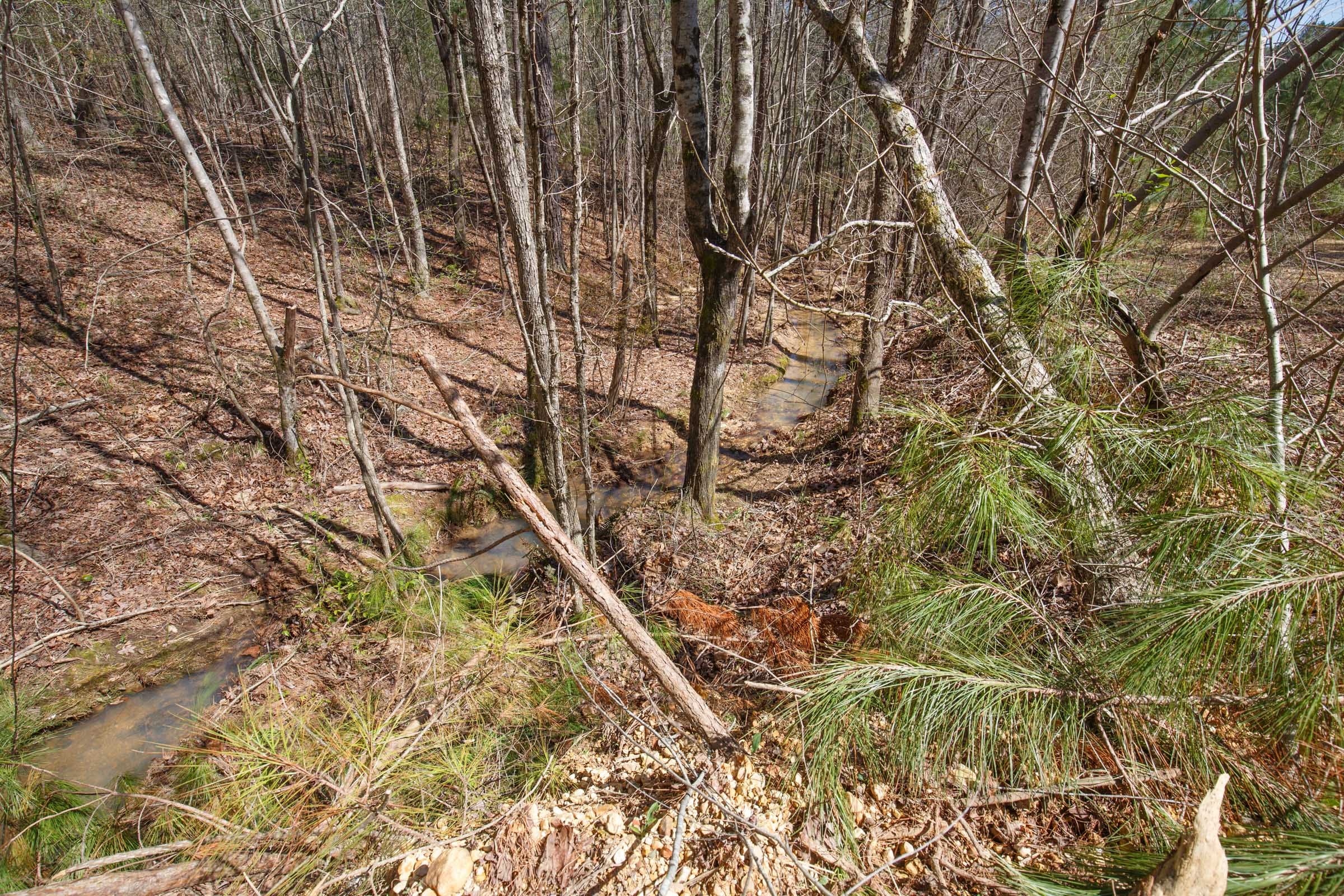 Southern Hills Tract 14 photo 15
