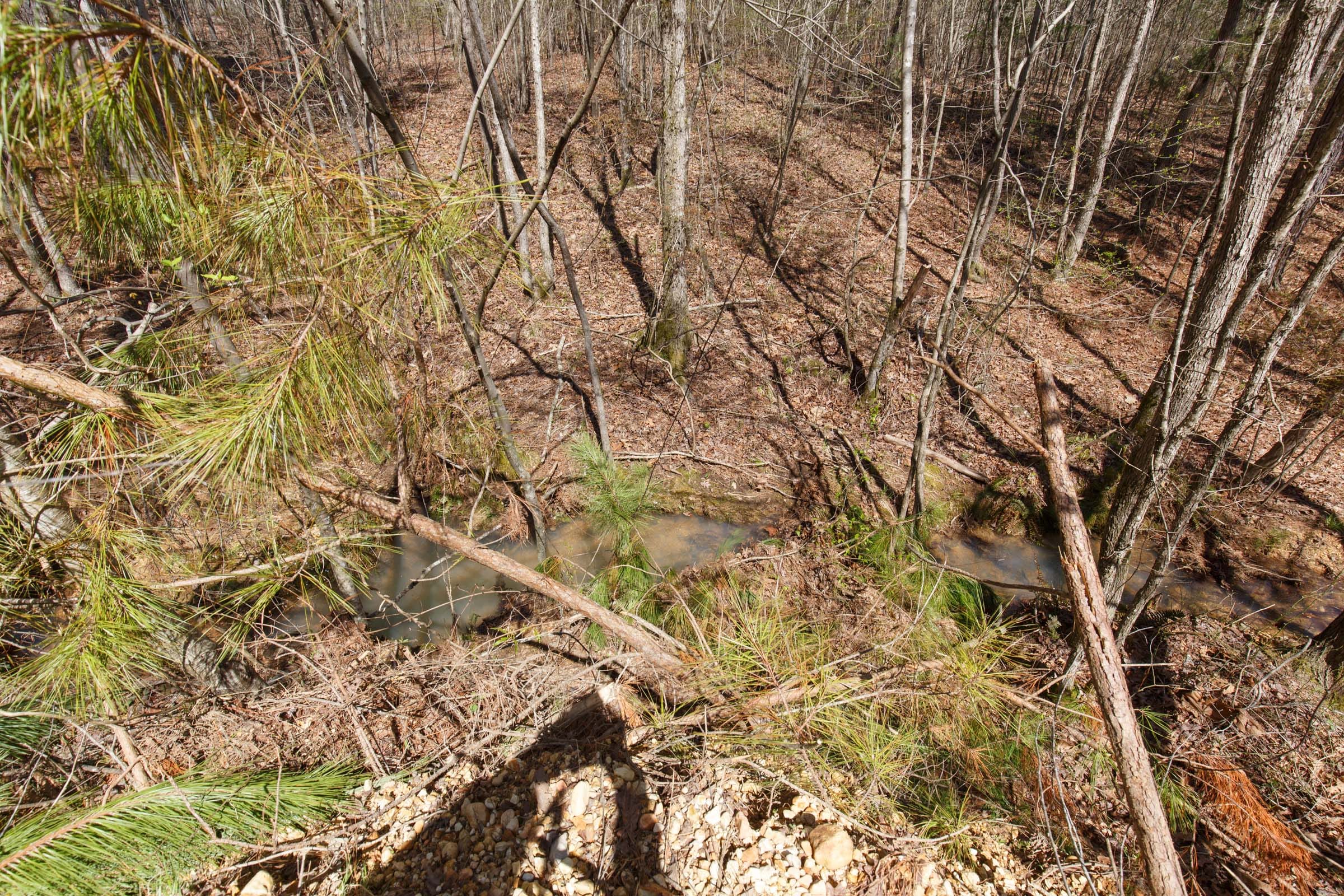Southern Hills Tract 14 photo 17