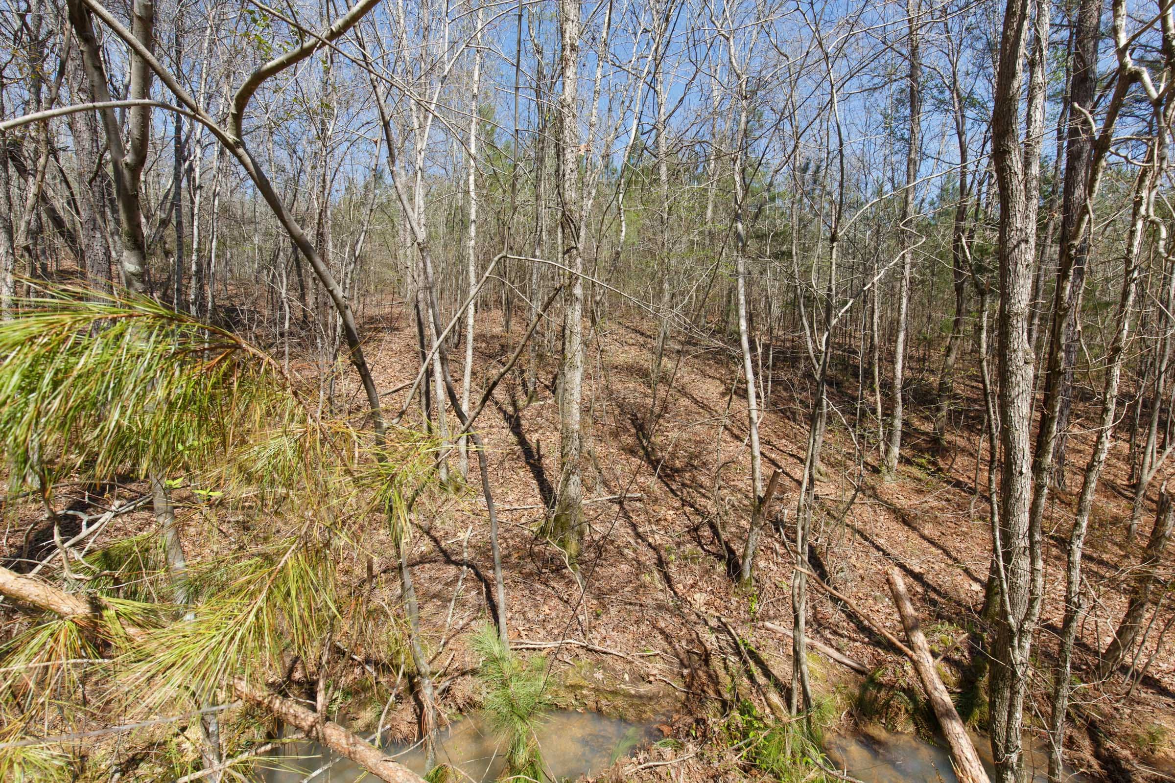 Southern Hills Tract 14 photo 18
