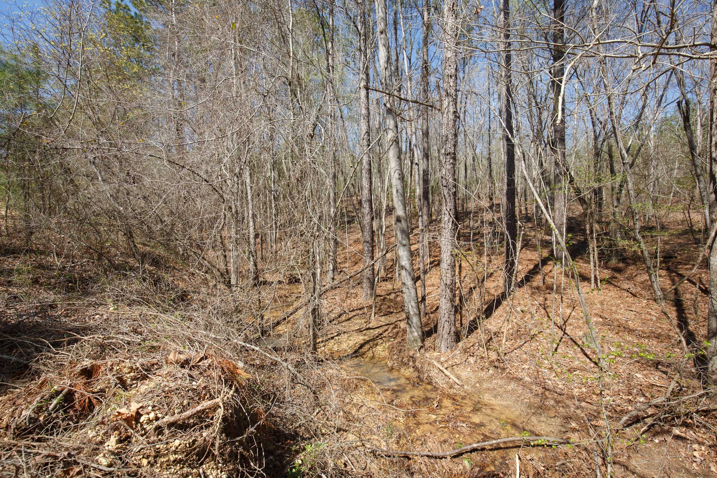 Southern Hills Tract 14 photo 19