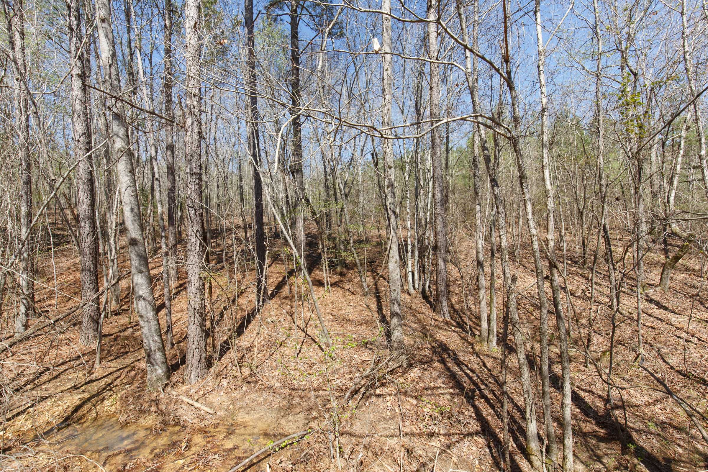 Southern Hills Tract 14 photo 20