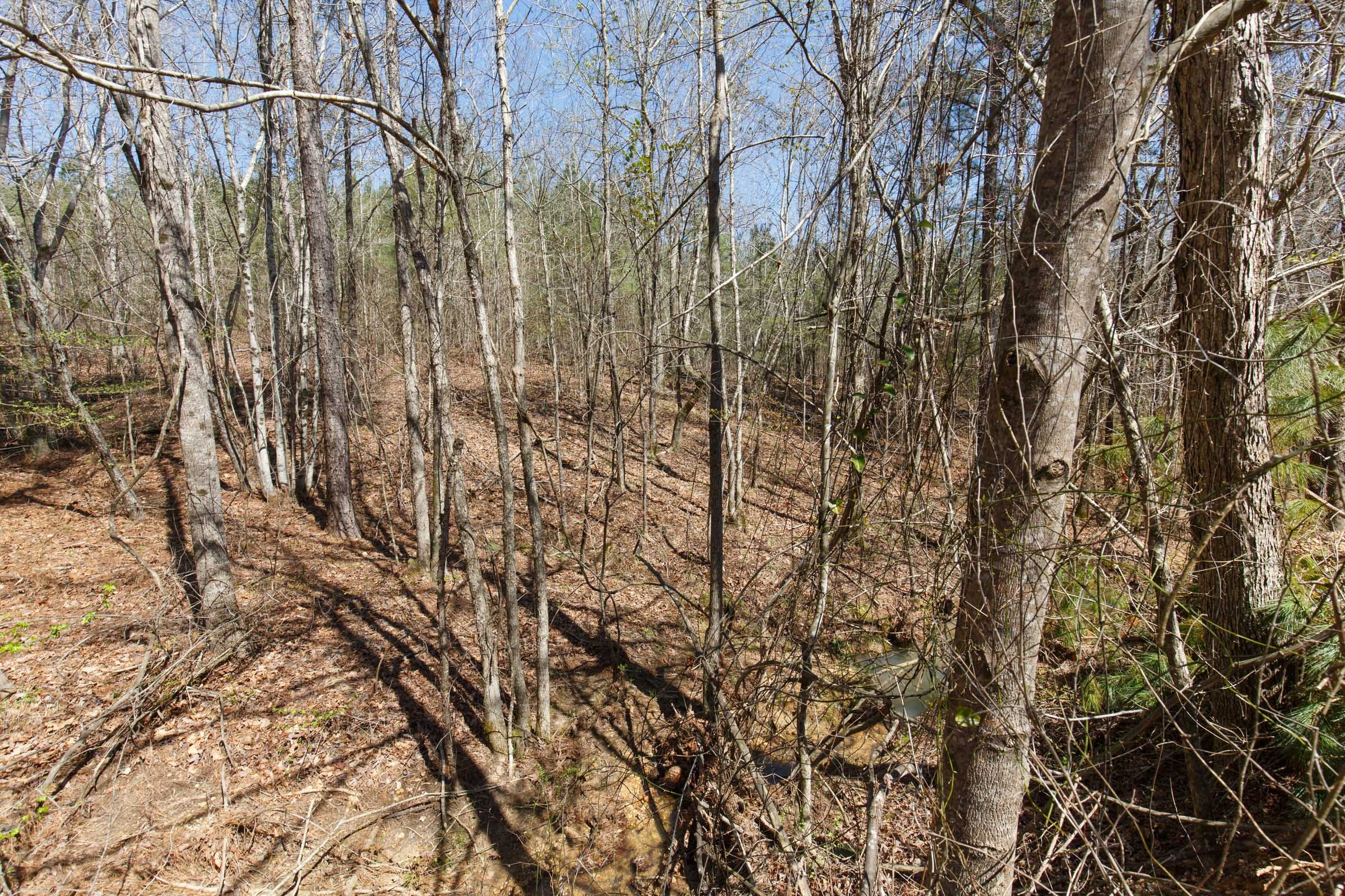 Southern Hills Tract 14 photo 22