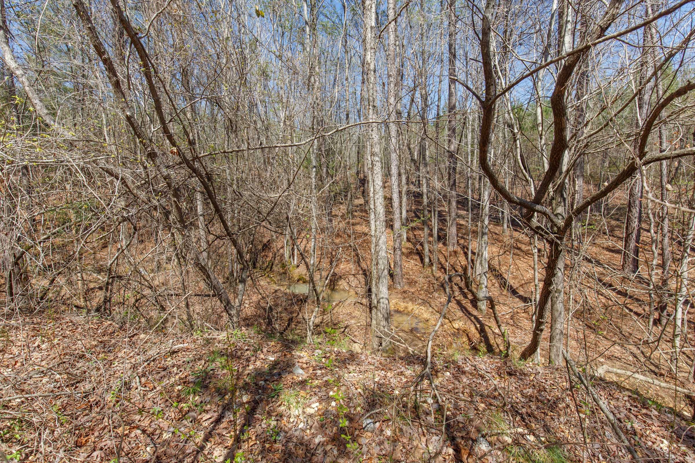 Southern Hills Tract 14 photo 23