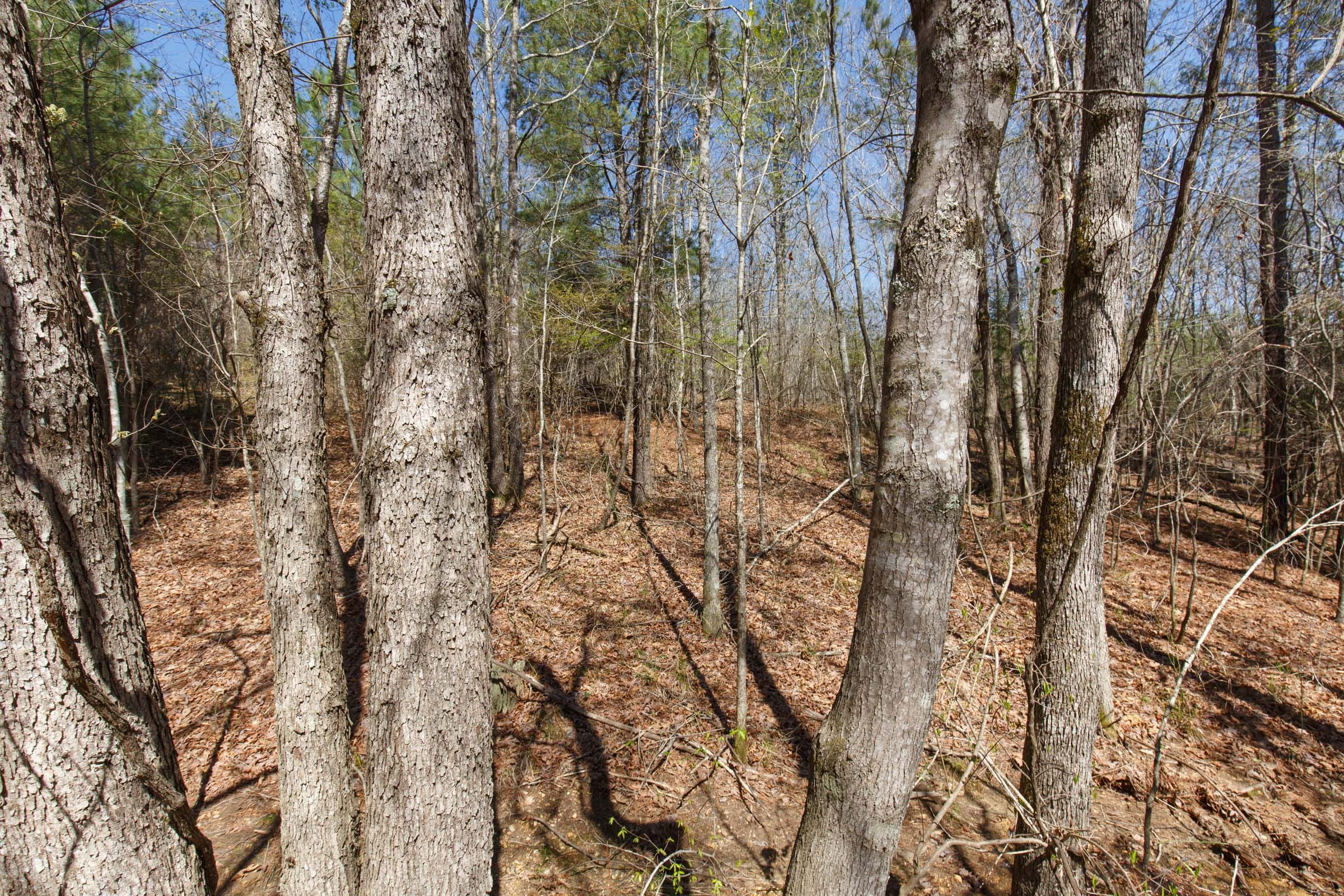 Southern Hills Tract 14 photo 24