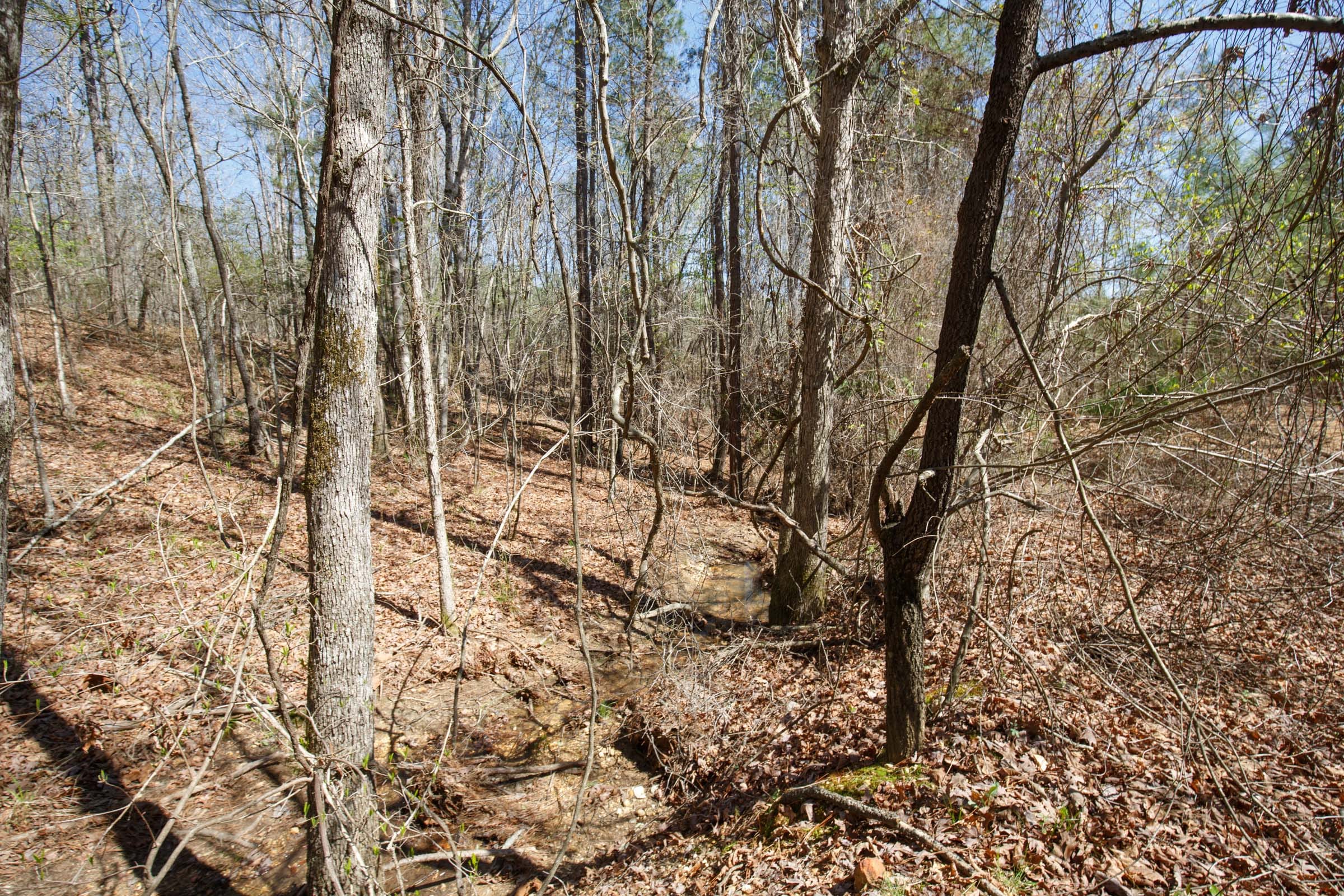 Southern Hills Tract 14 photo 25
