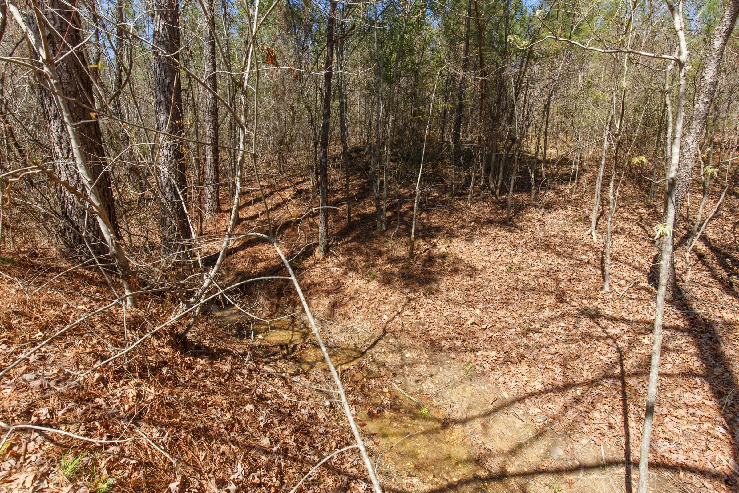 Southern Hills Tract 14 photo 27