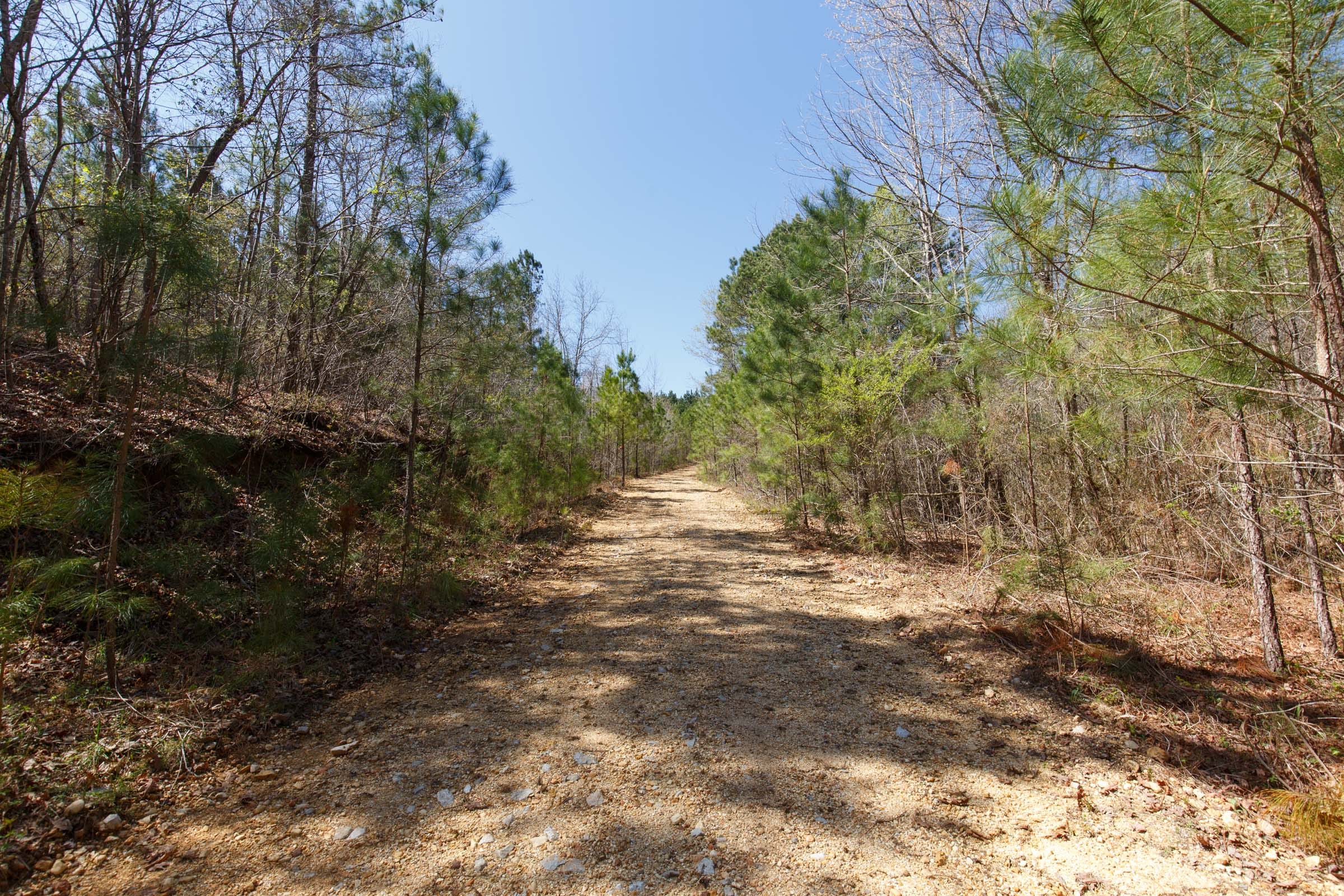 Southern Hills Tract 14 photo 21