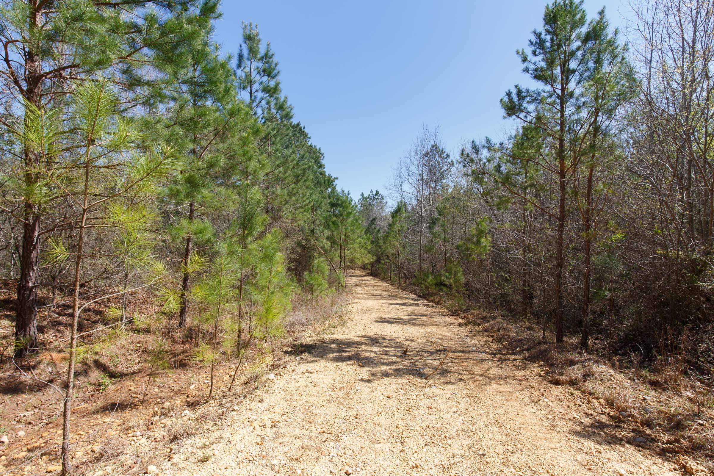 Southern Hills Tract 14 photo 16